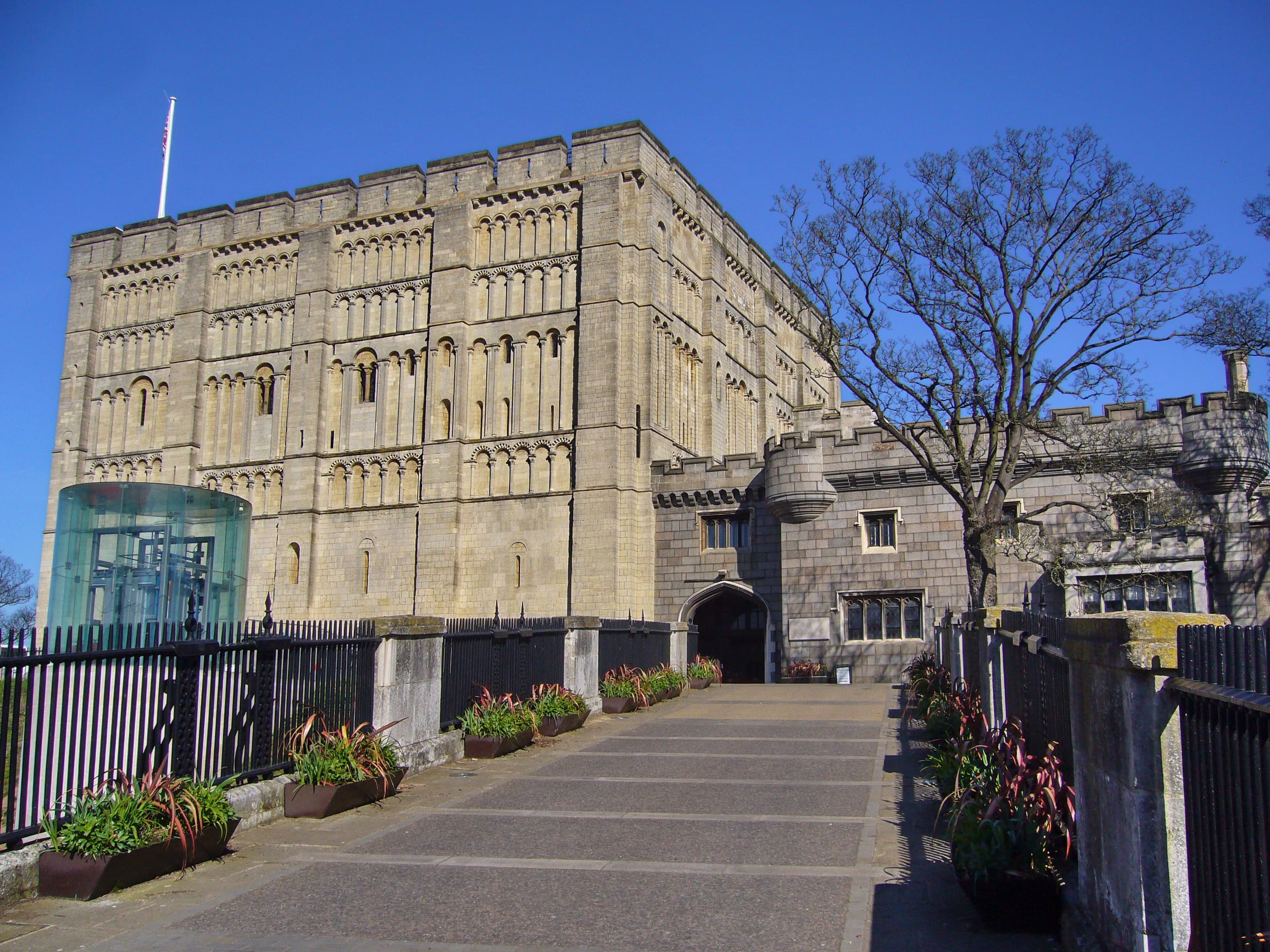 Norfolk Museums Collections