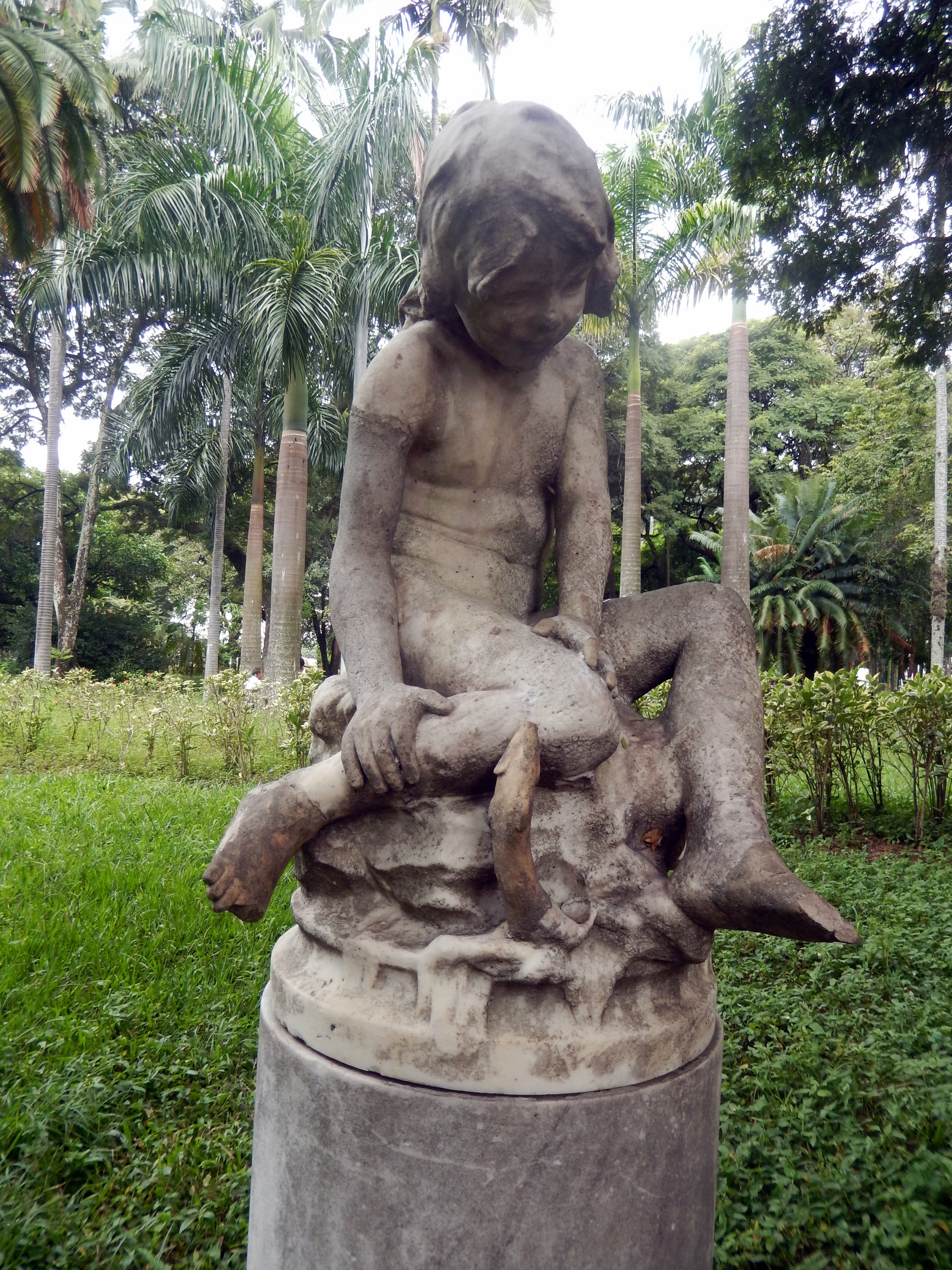 The Boy and the Fish