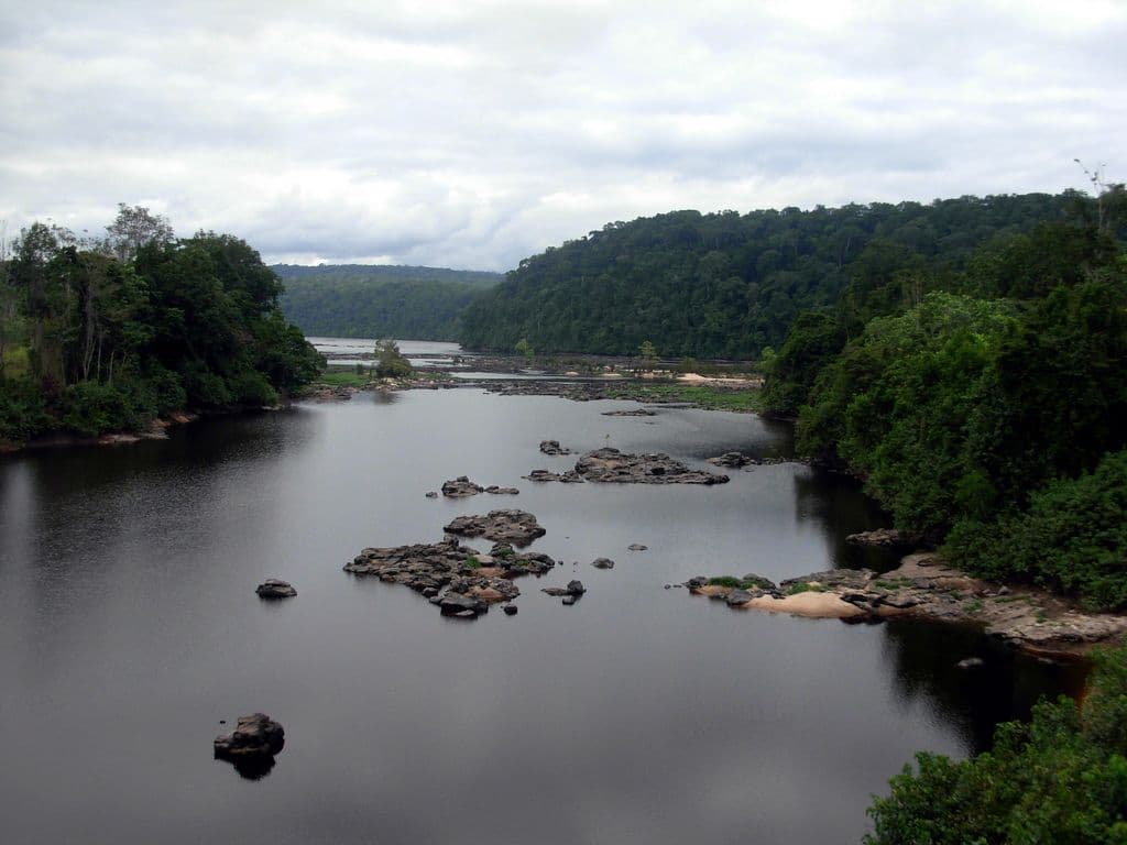 Ogooué River