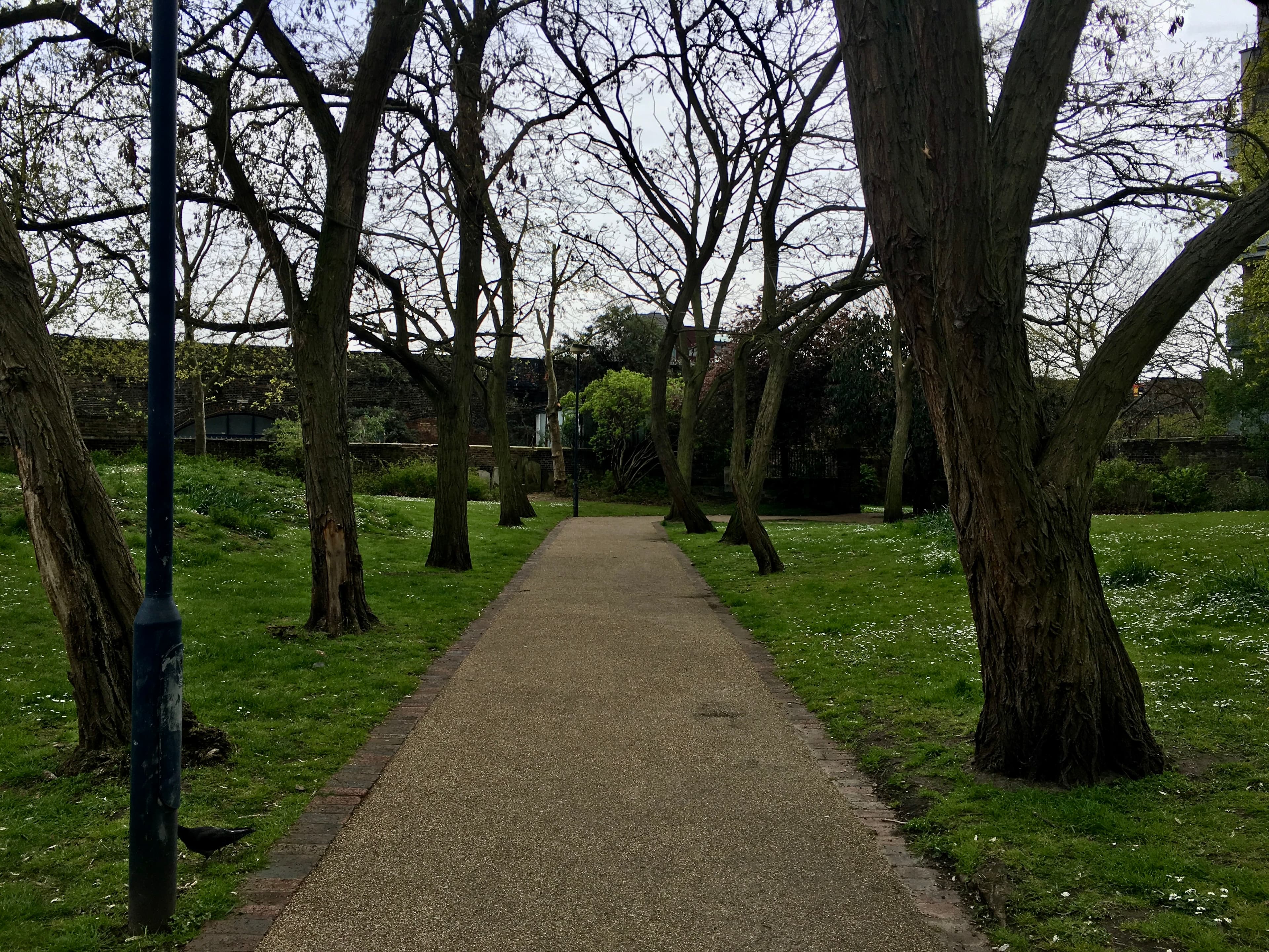 Old Paradise Gardens