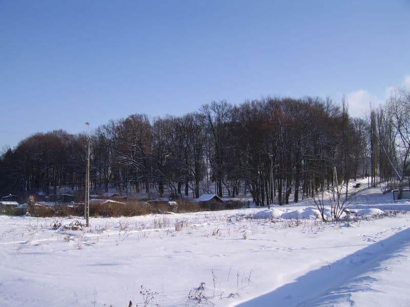 Park in Olsztyn Pozorty