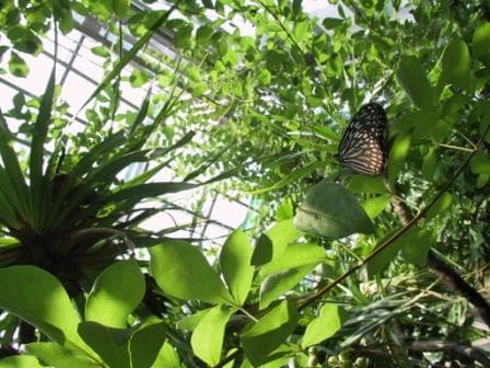 Adachi Park of Living Things