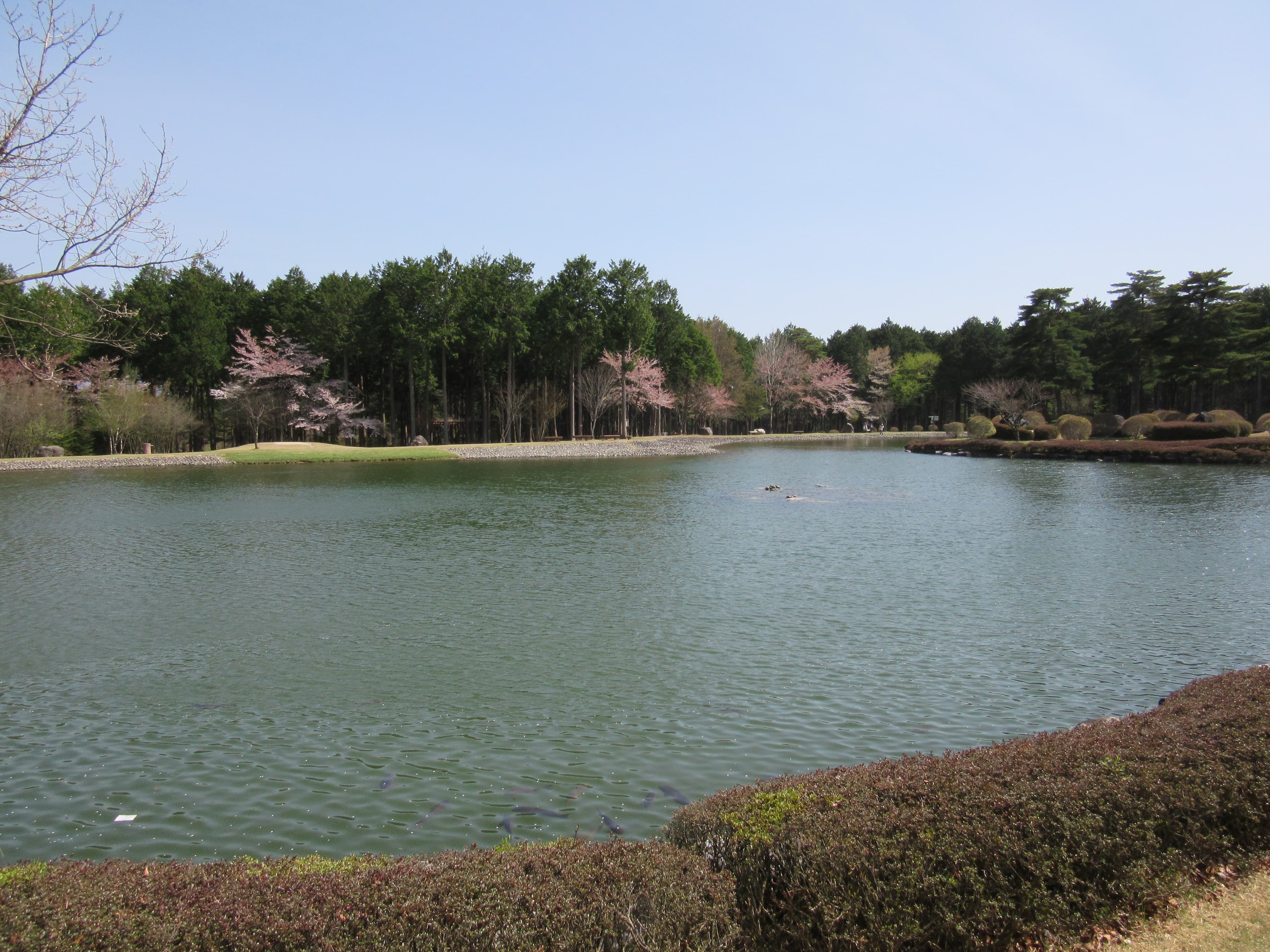 Shinshu Oshiba Heights