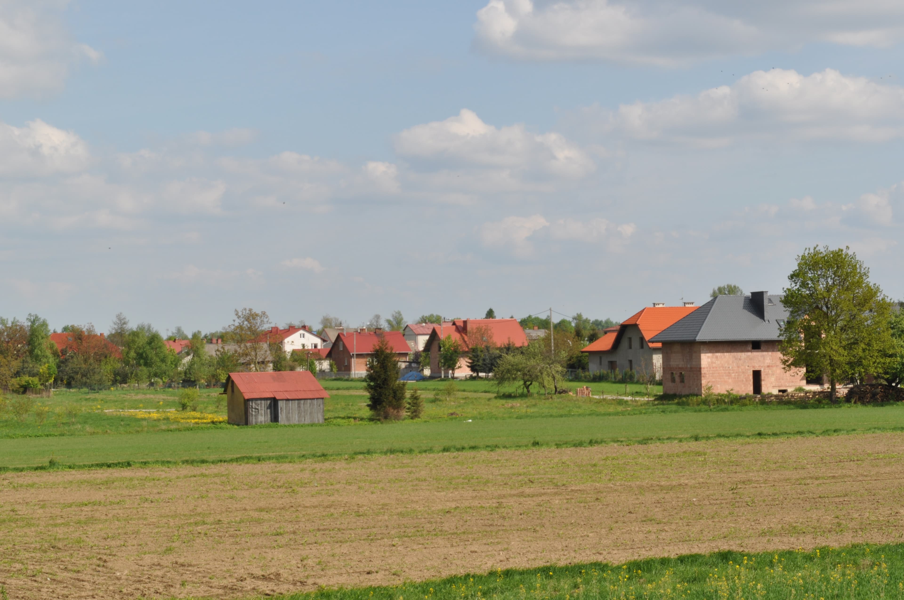 Mielec County