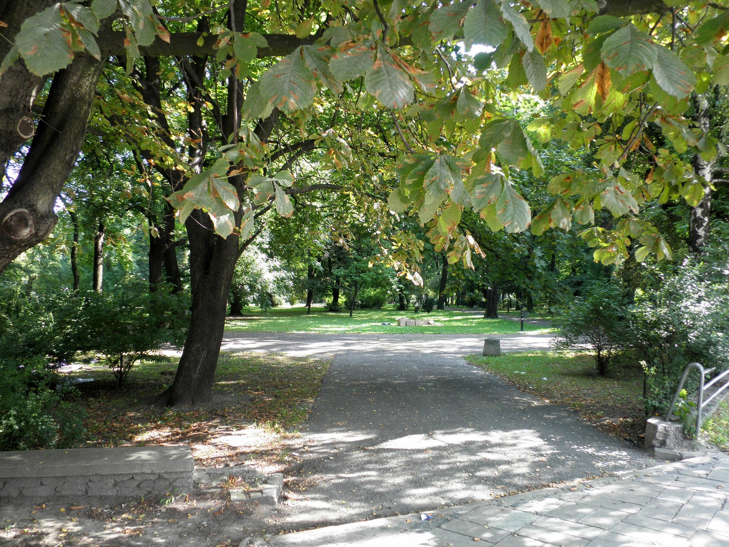 Bronowice park in Lublin