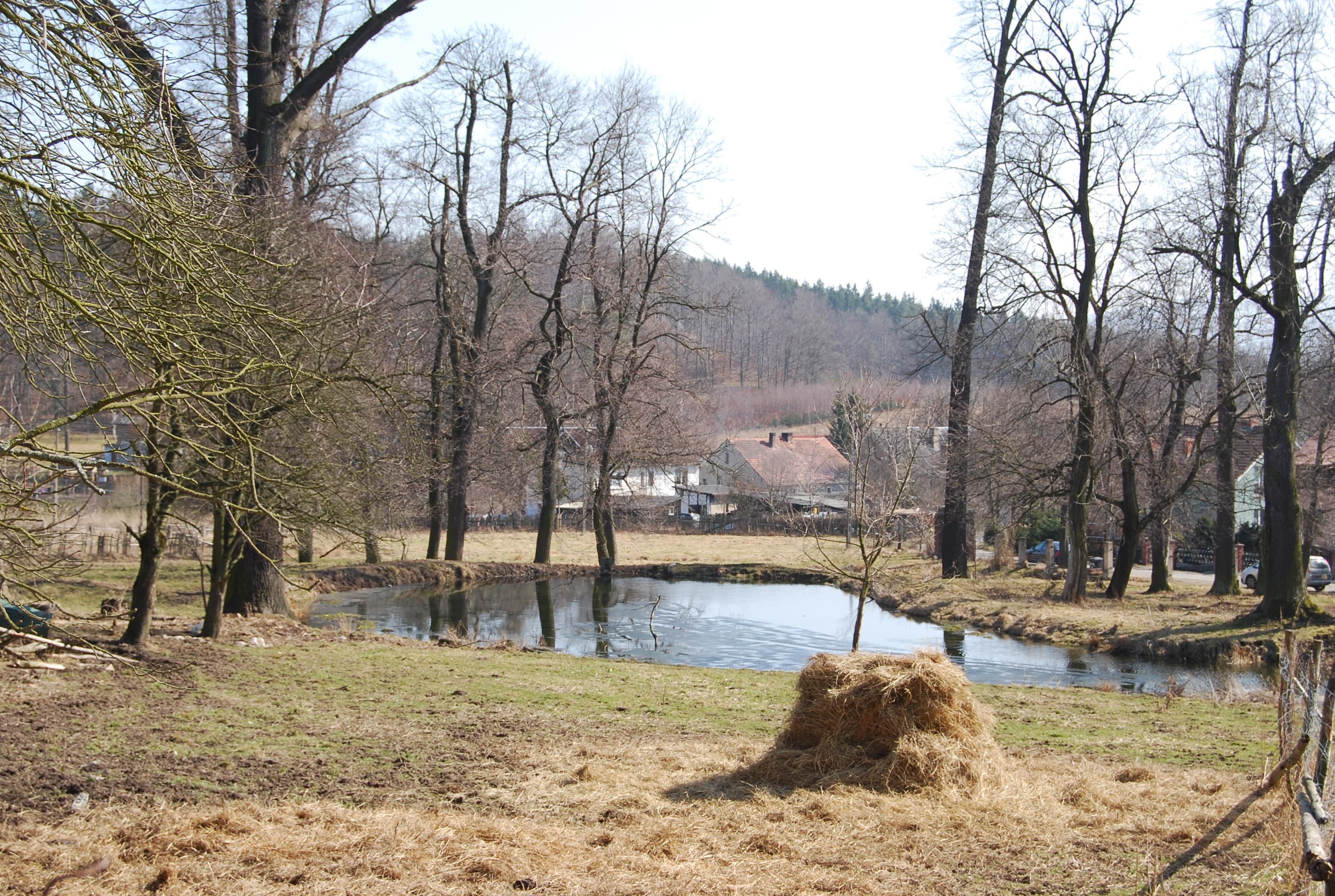 Dąbrowica palace park