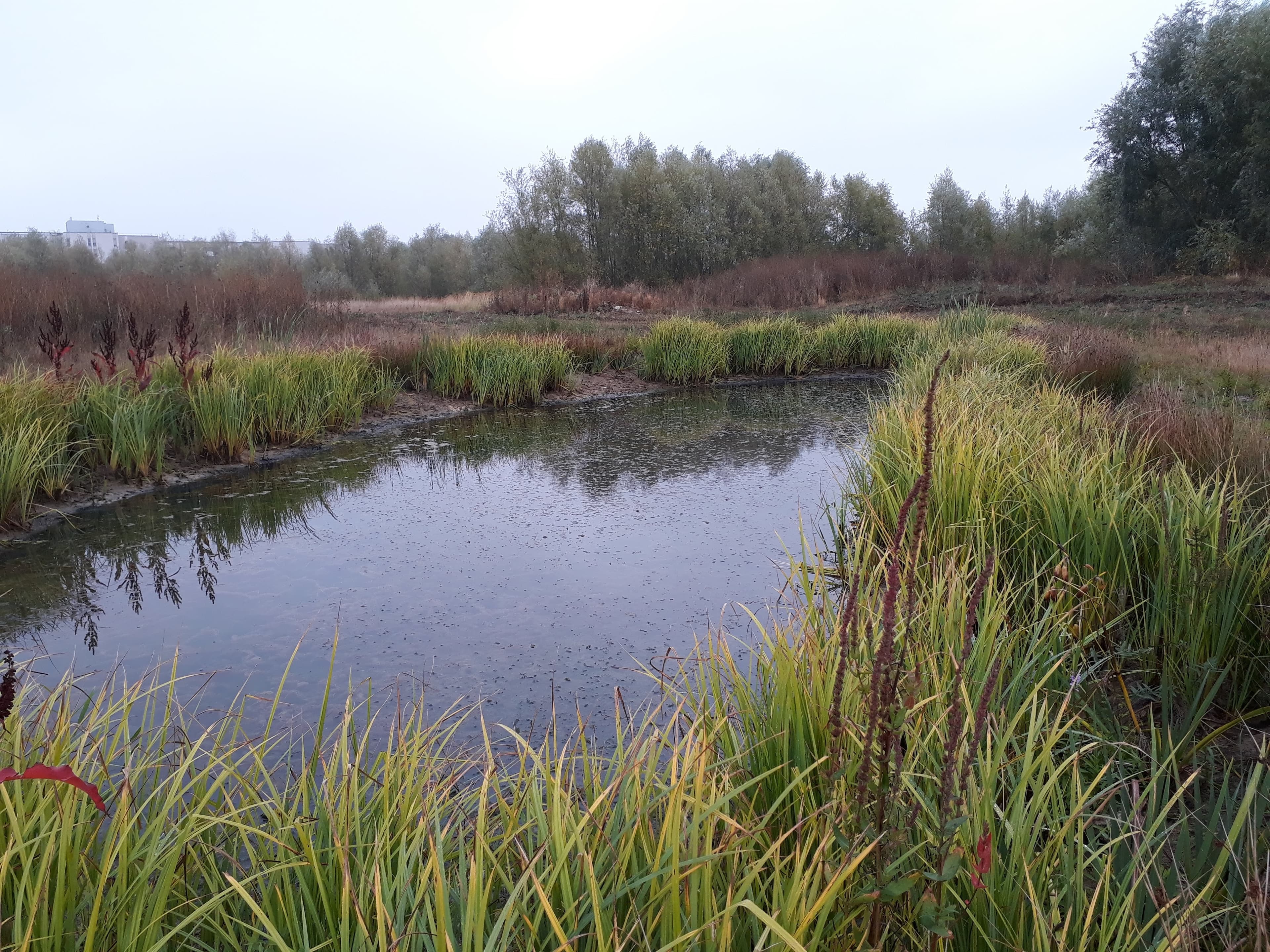 Parc du Peuple de l'herbe