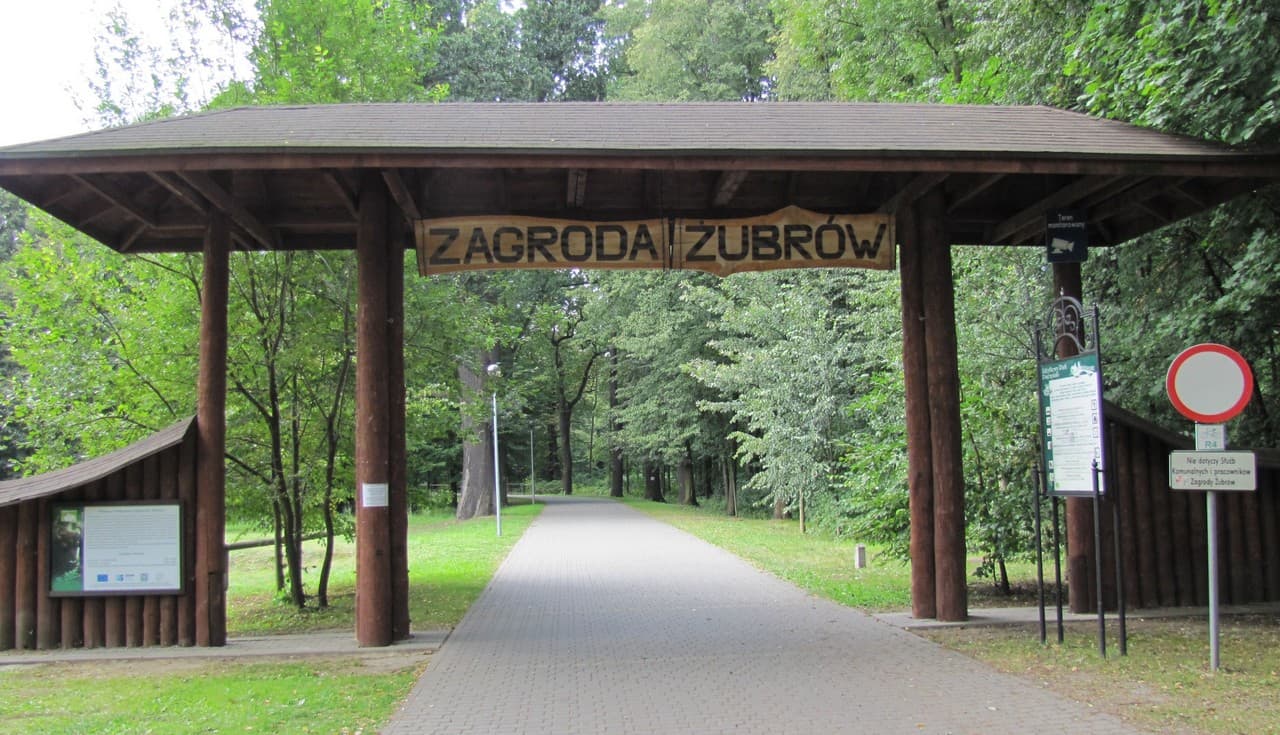 European Bison Show Farm in Pszczyna