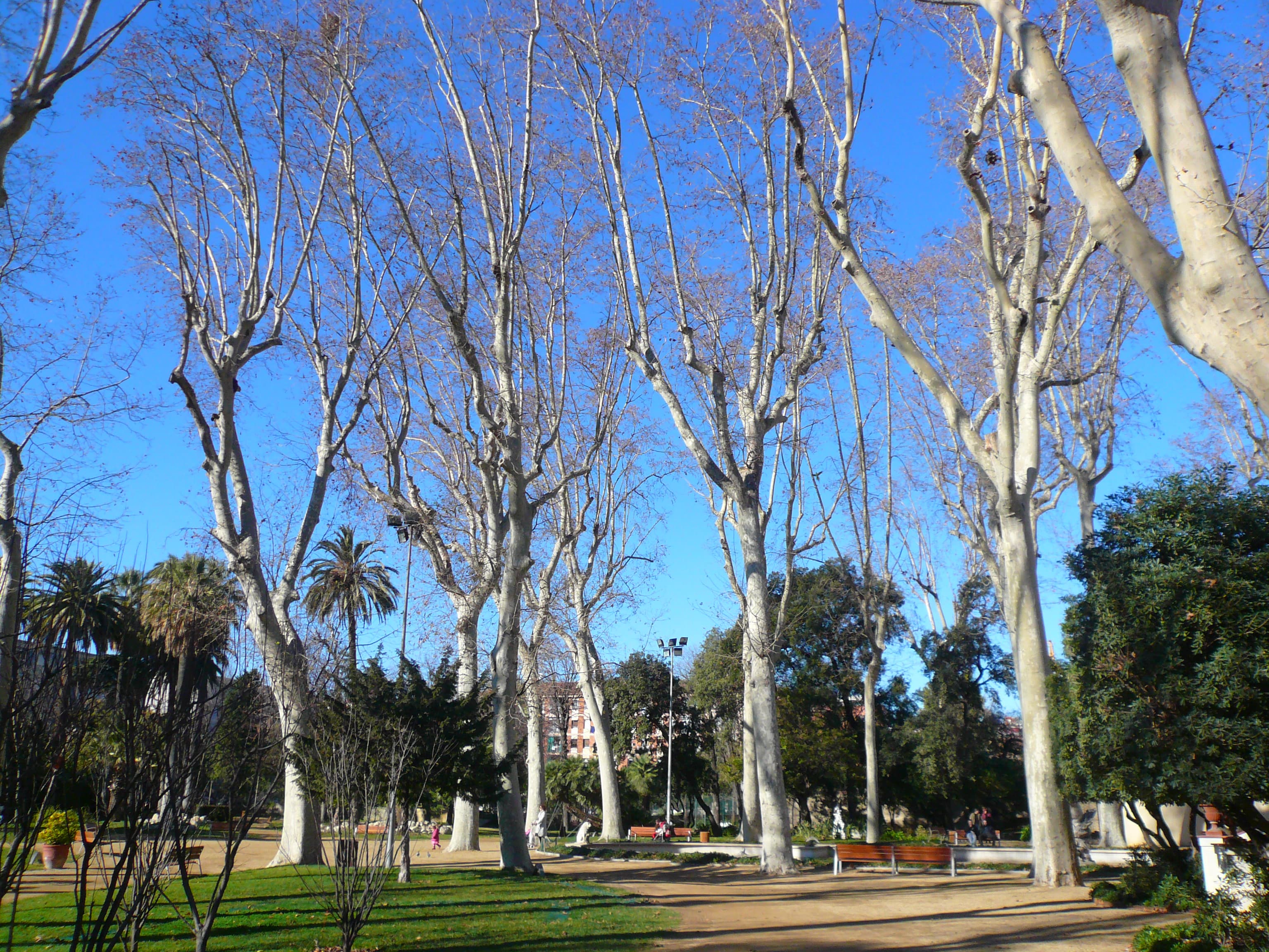 Parc de Can Falguera