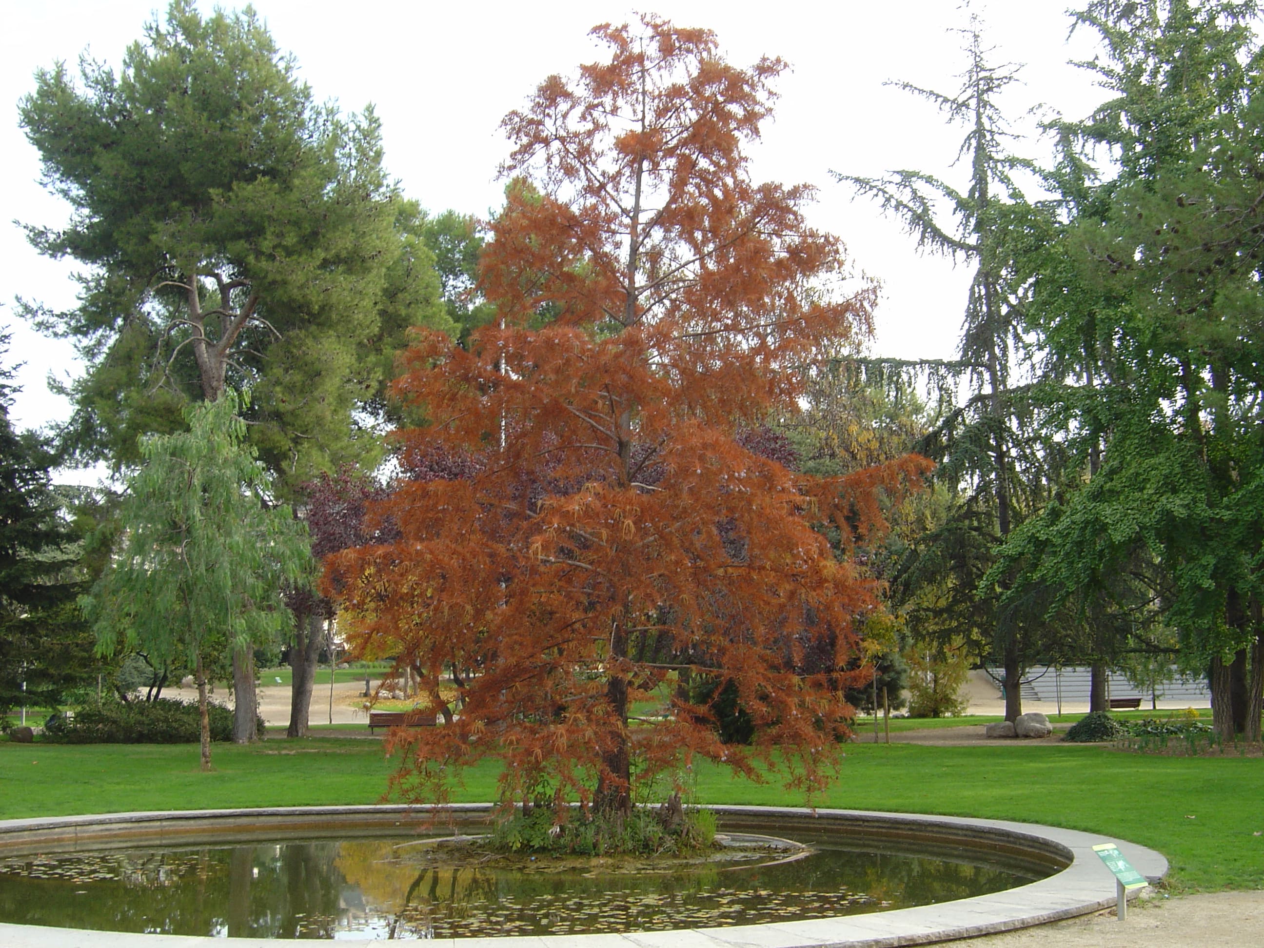 Parc Torras i Villà