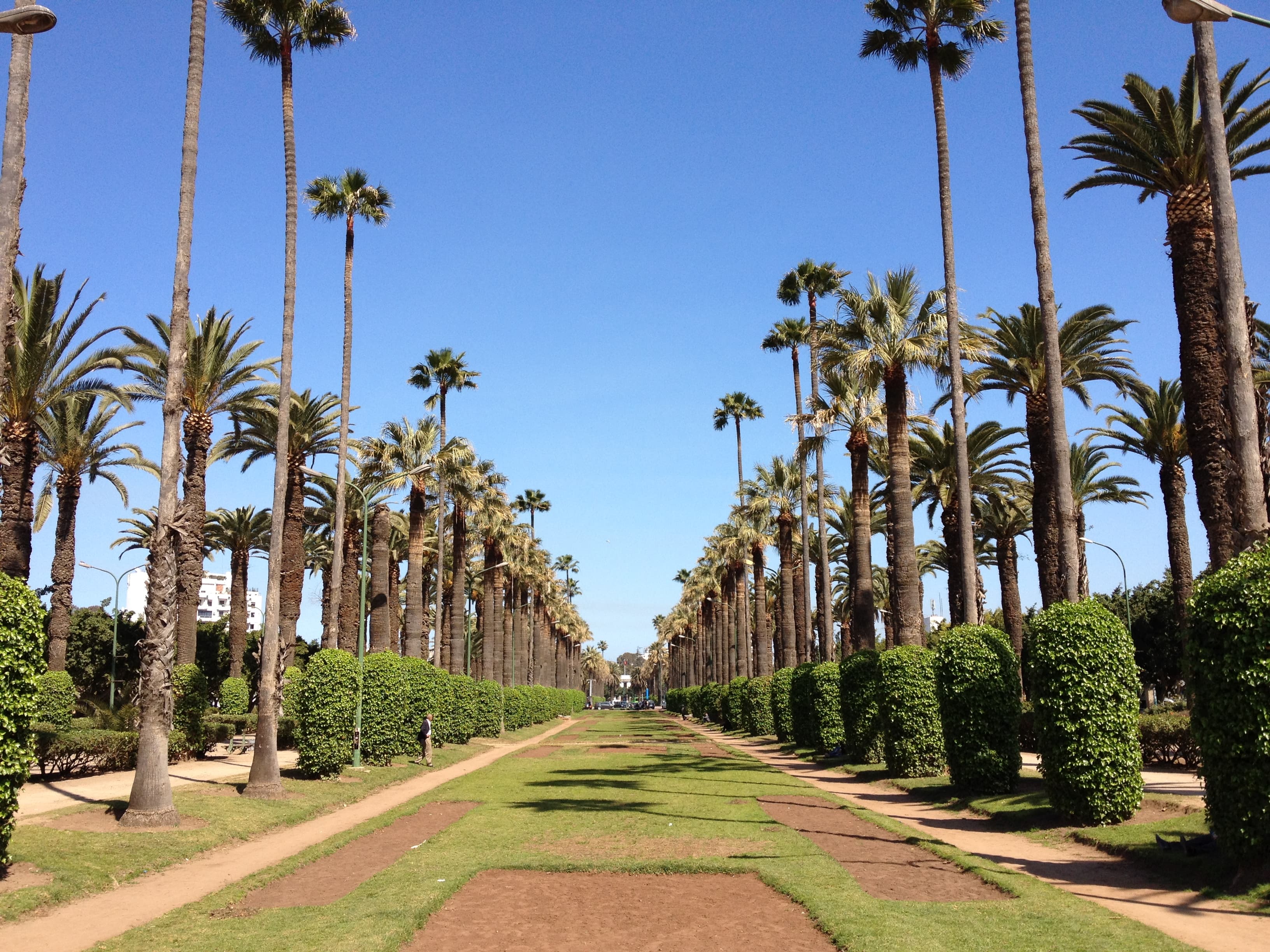 Arab League Park of Casablanca