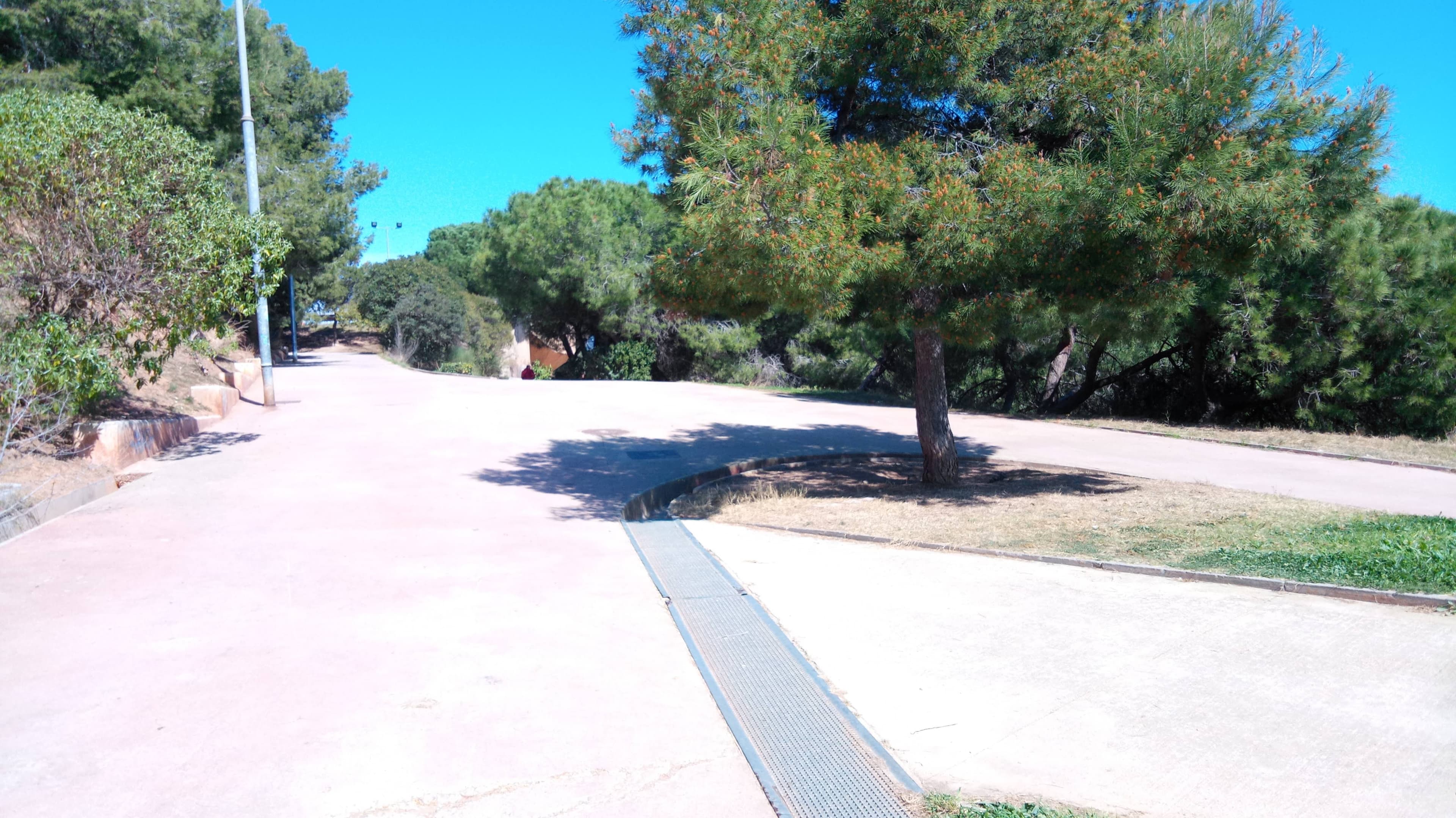 Parc del Turó d'en Caritg