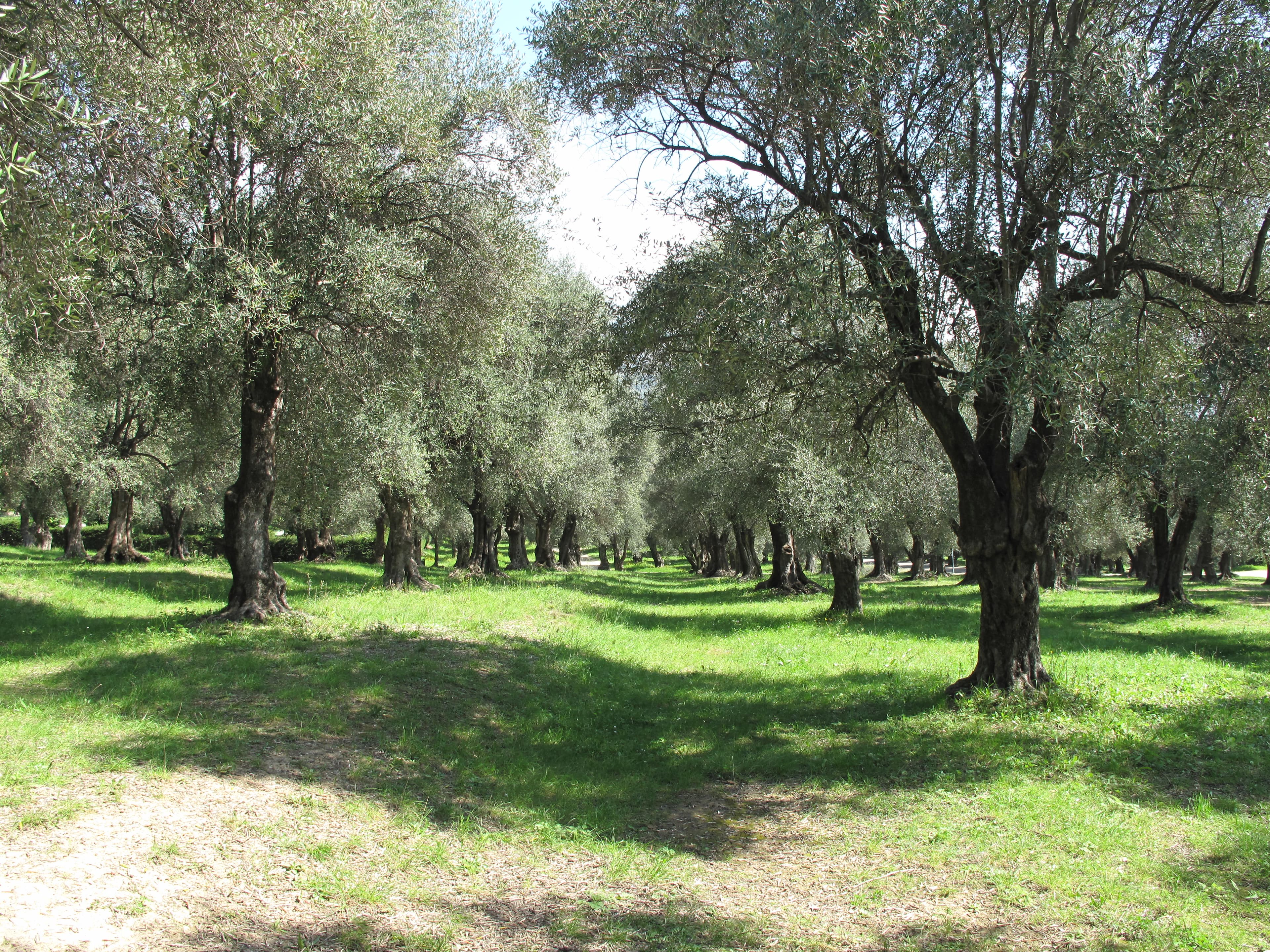 Parc Départemental du Pian