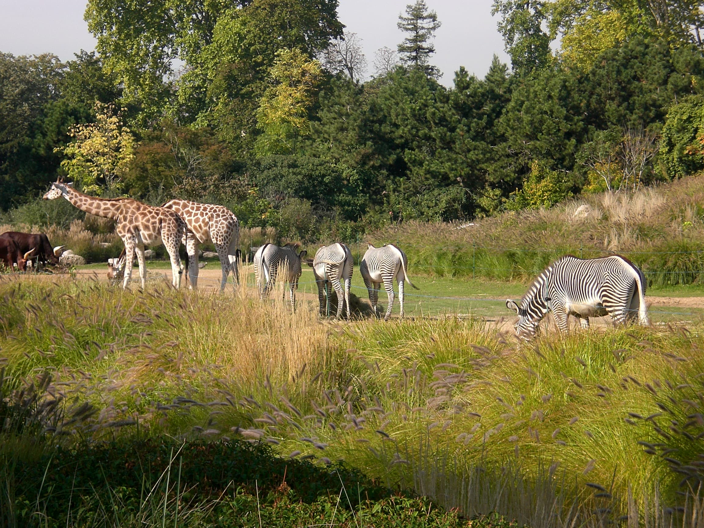 Jardin zoologique de la ville de Lyon