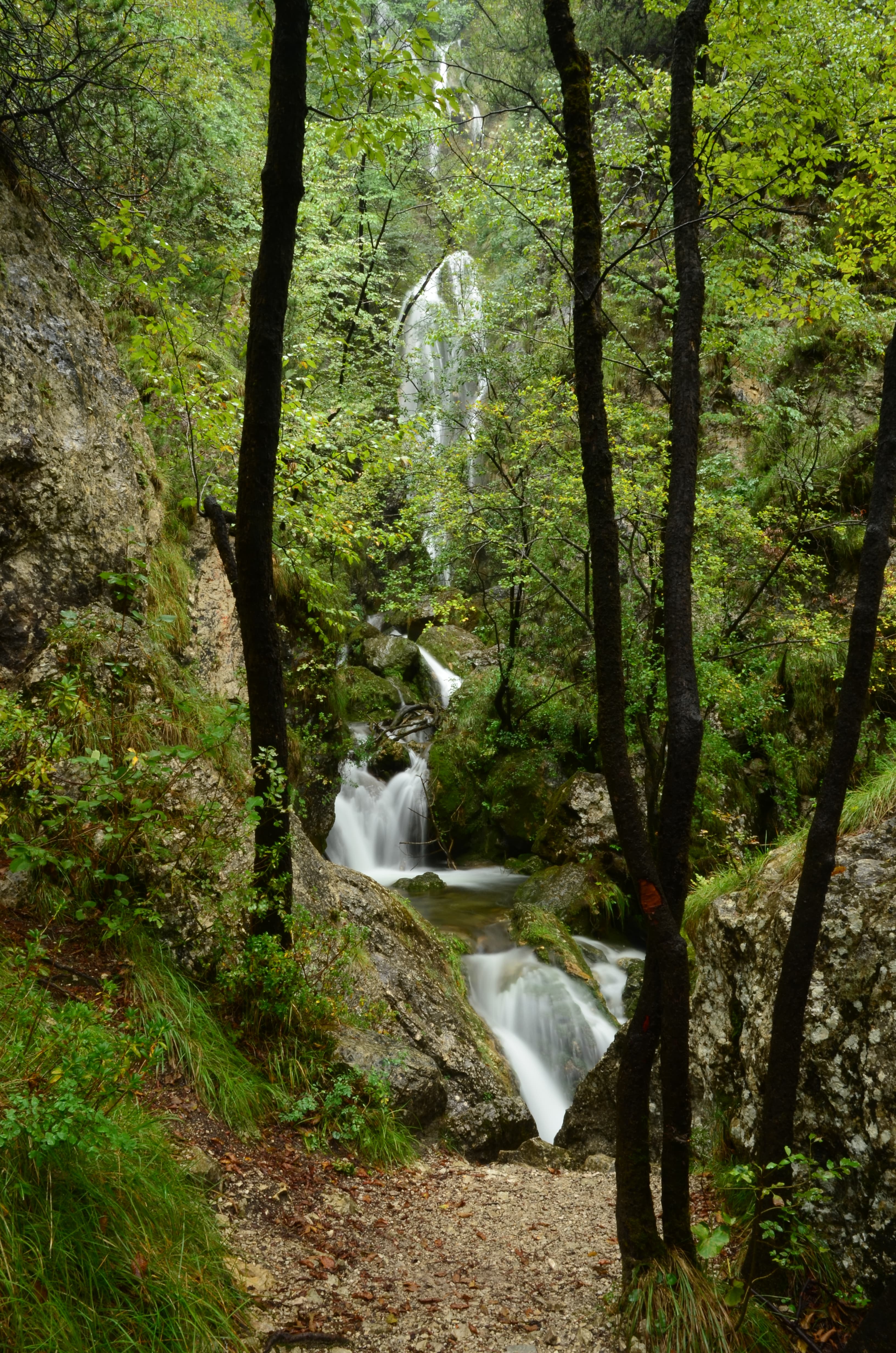 Parco fluviale del torrente Centa