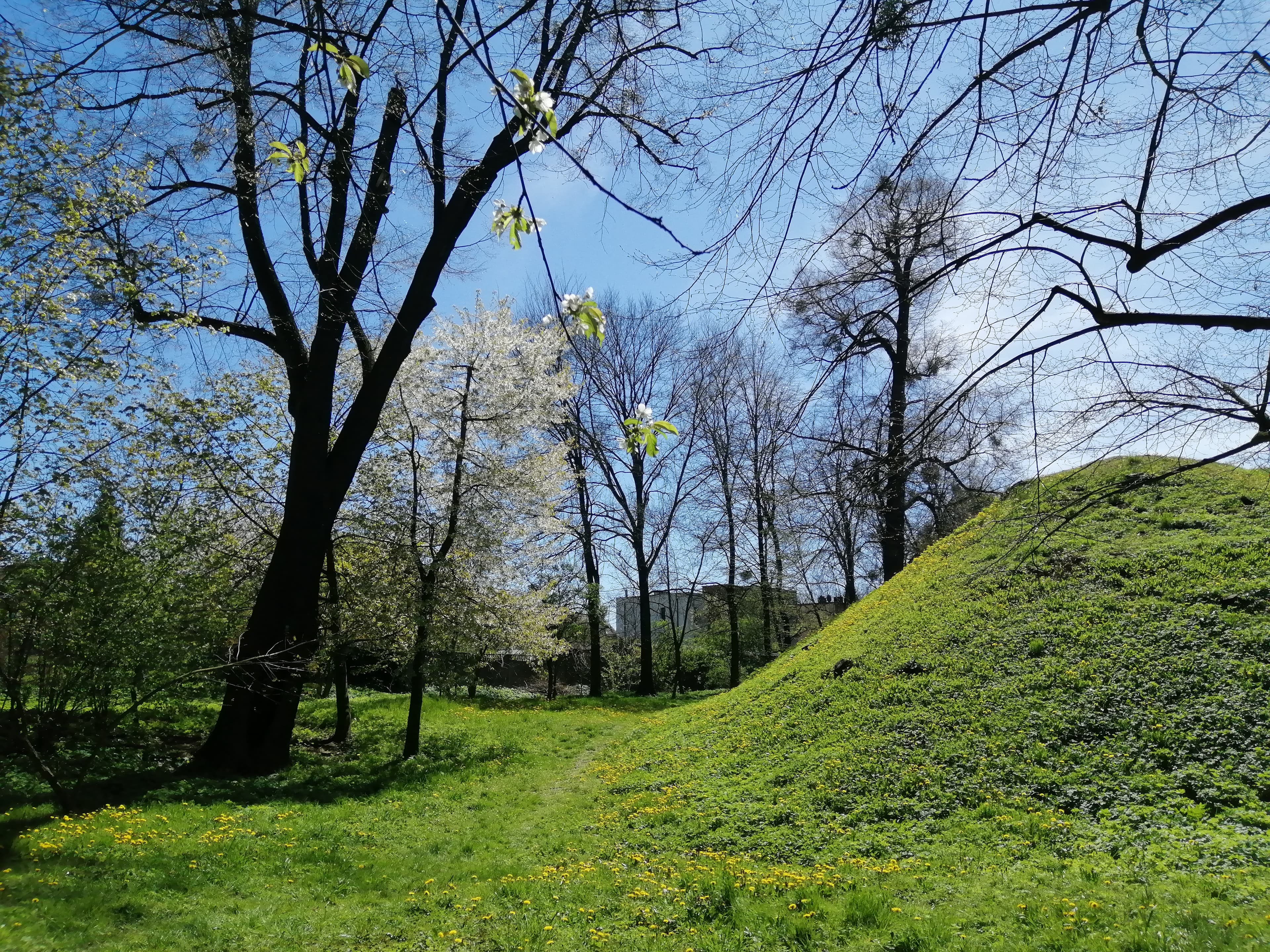 Kunszt Park in Tarnowskie Góry