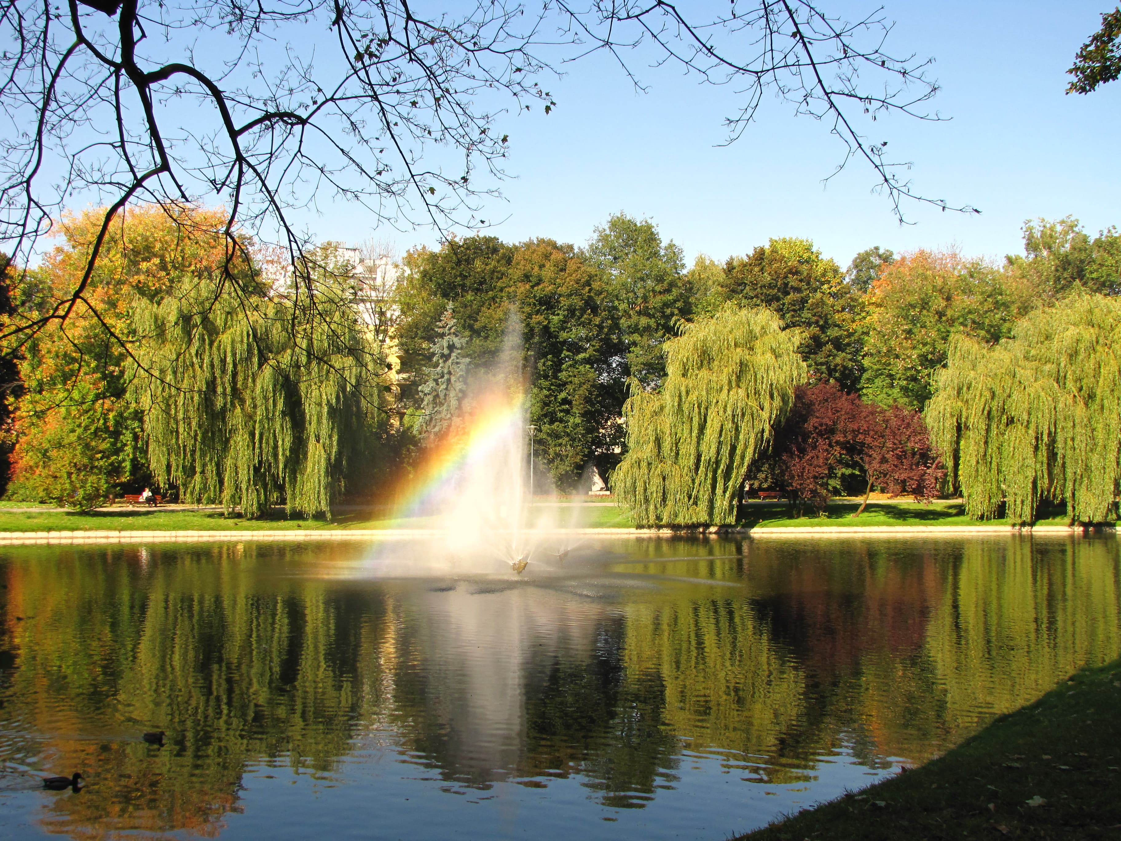 City Garden in Kielce