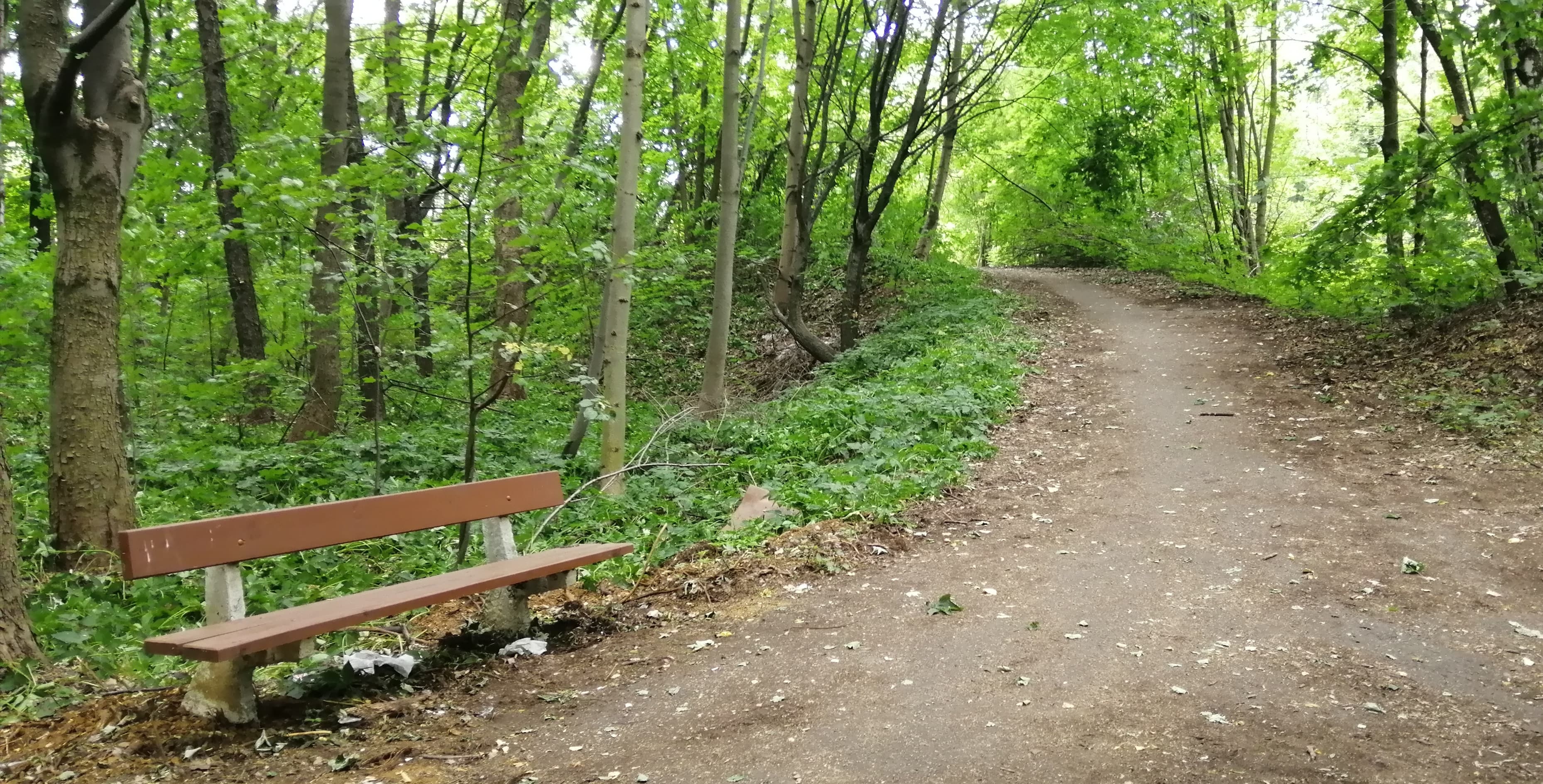 Piny Park in Tarnowskie Góry