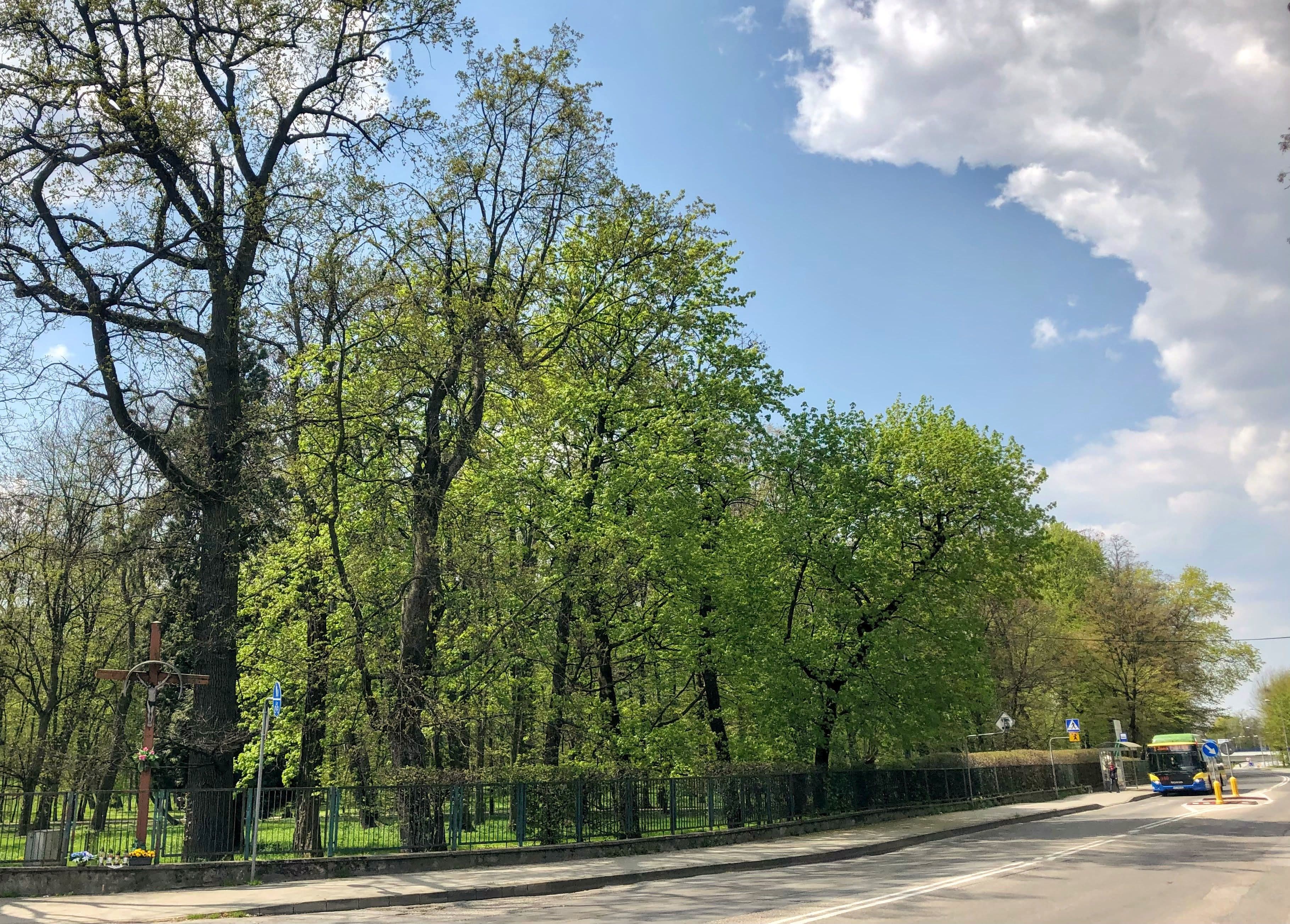 Sanguszko Park in Tarnów