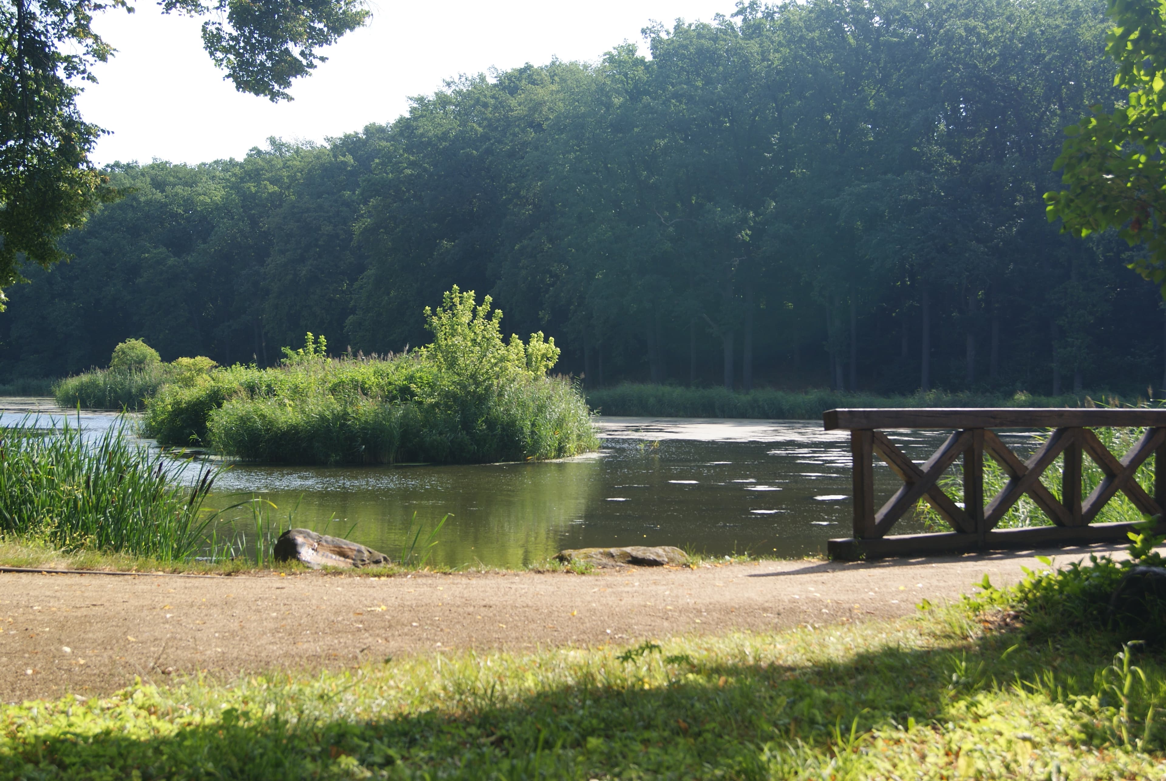 Arboretum in Gołuchów
