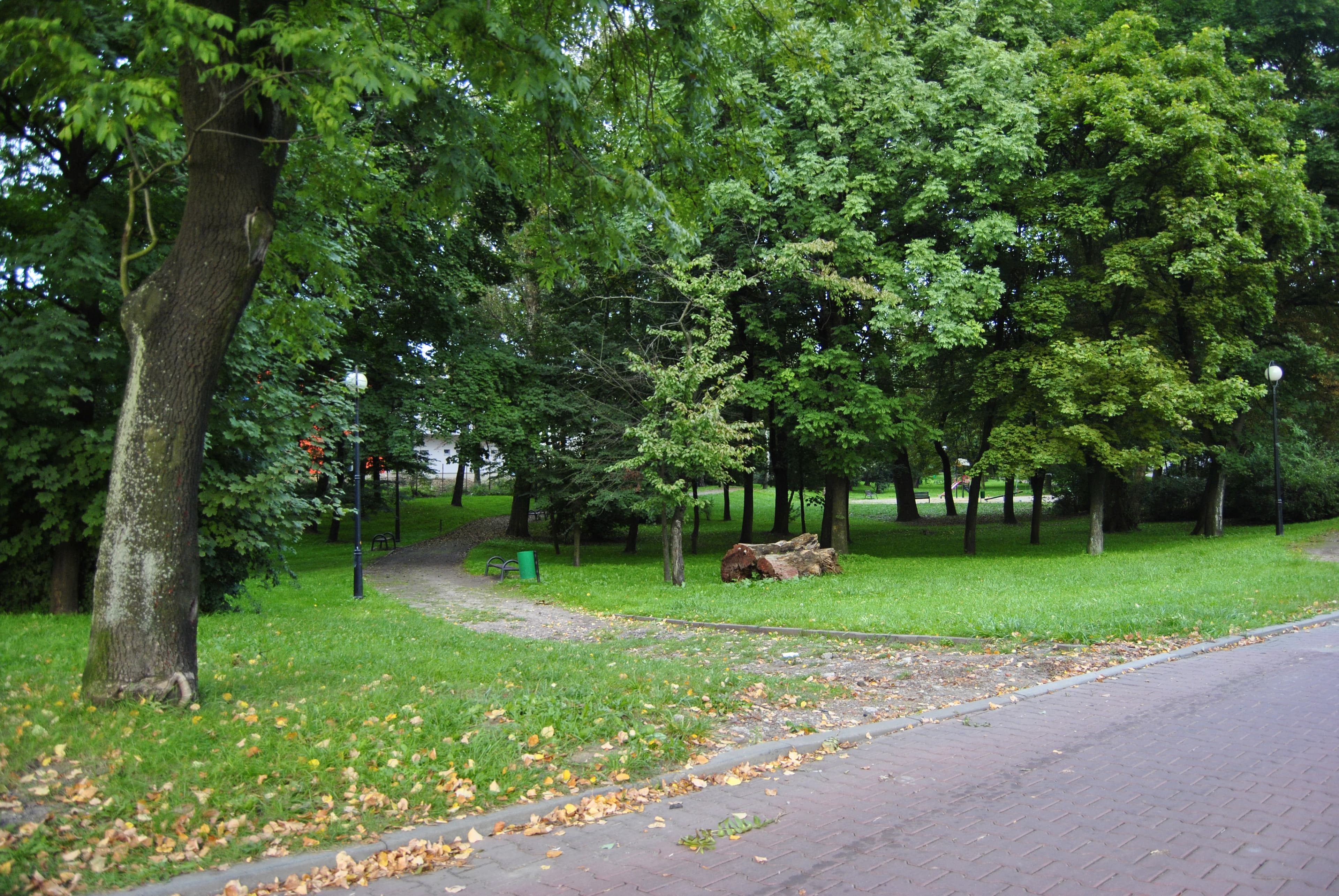 Remains of the Park