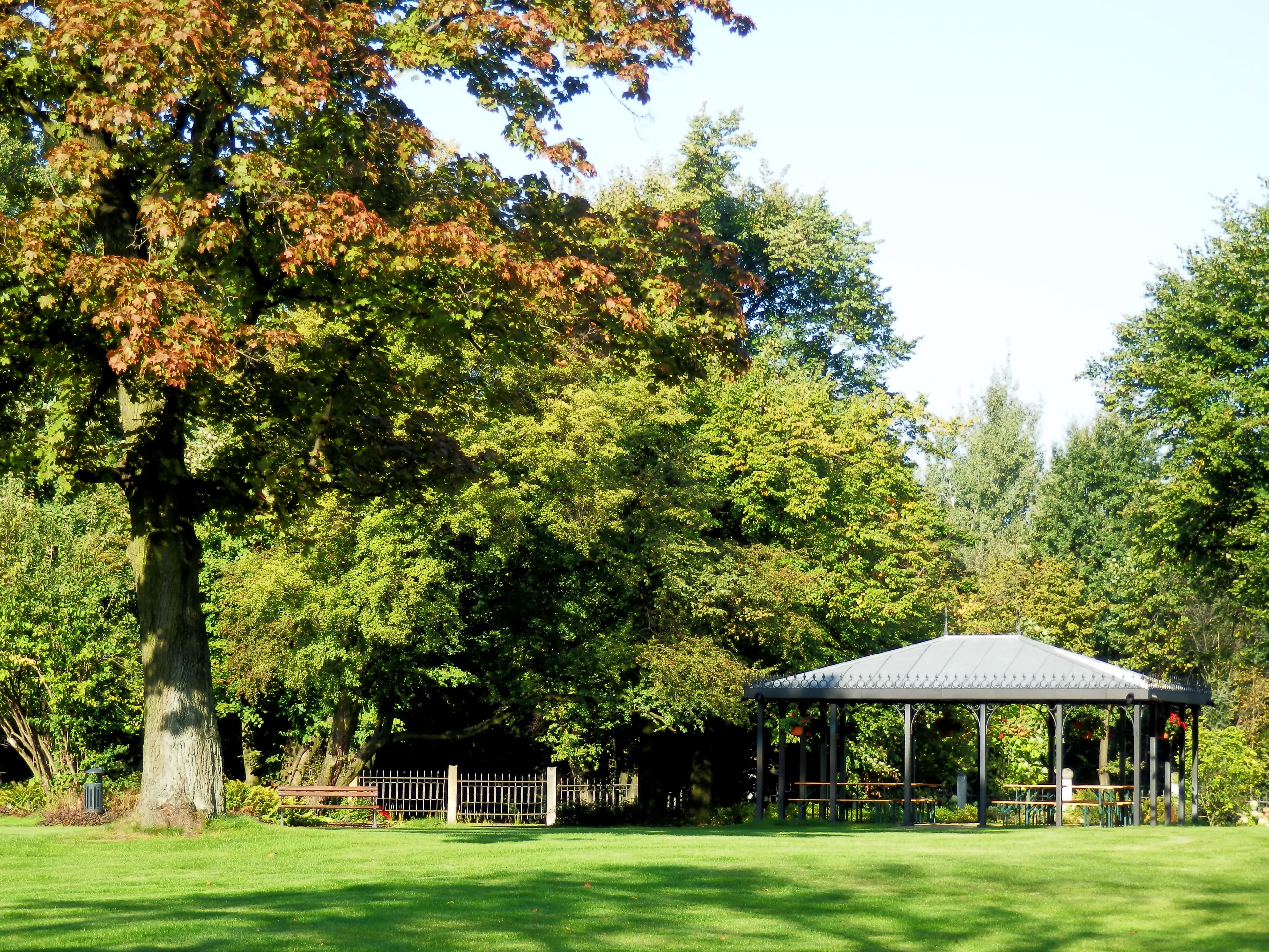 Palace park in Borynia