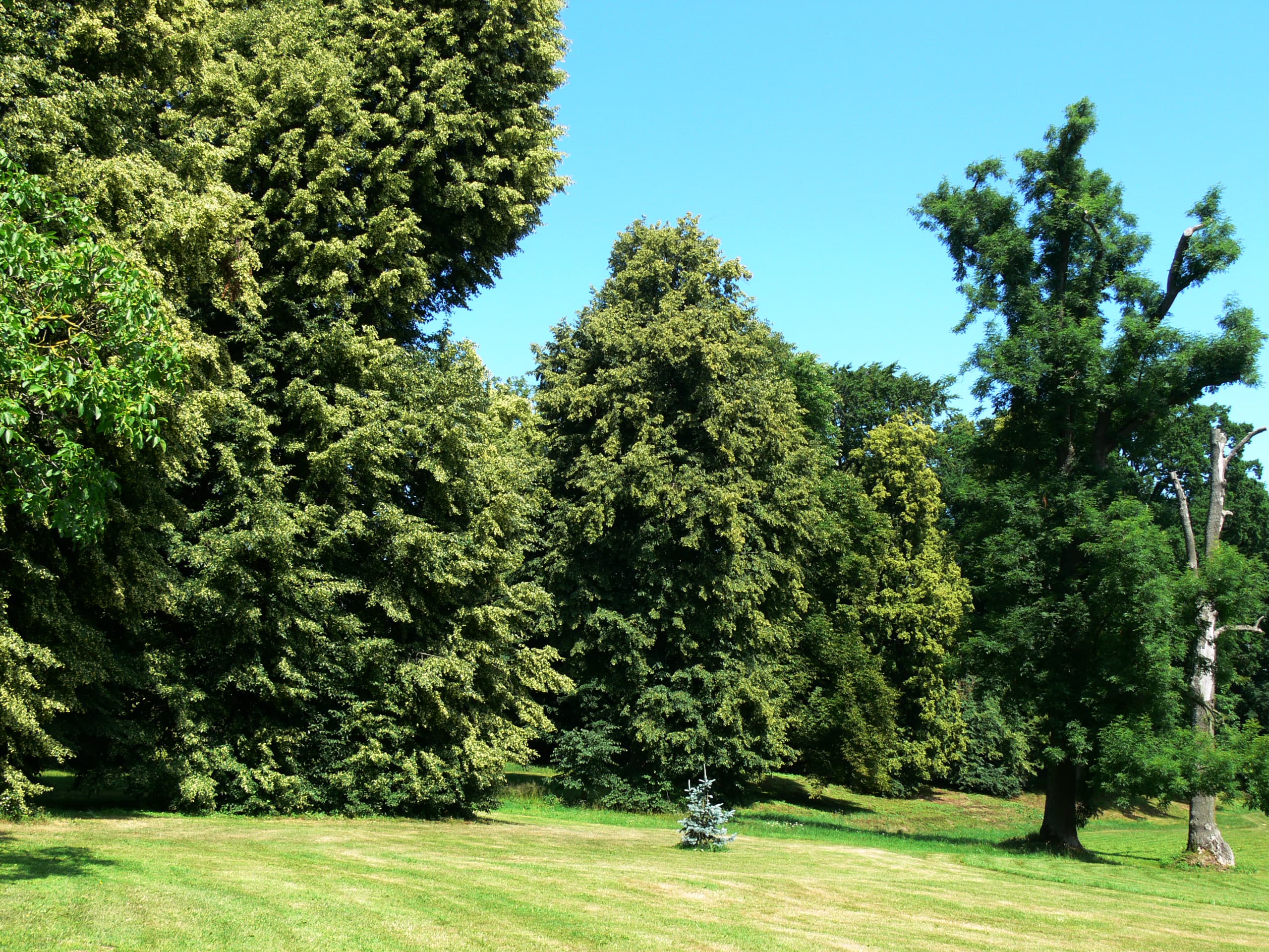 Park in Starzyński Dwór