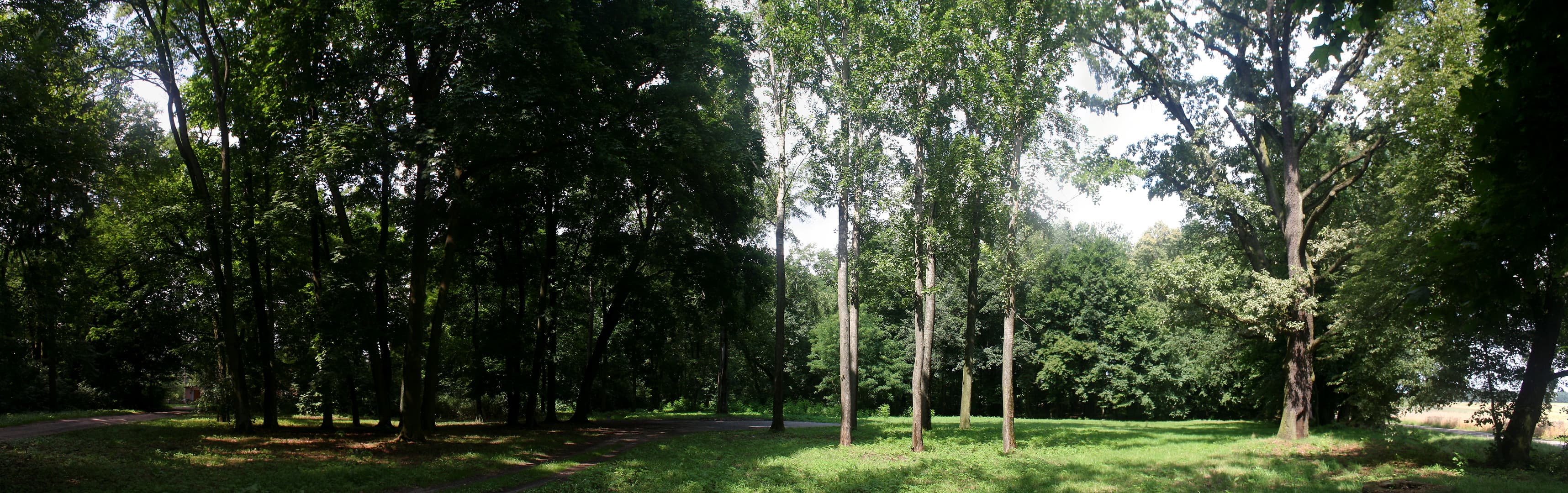 Park in Szydlow