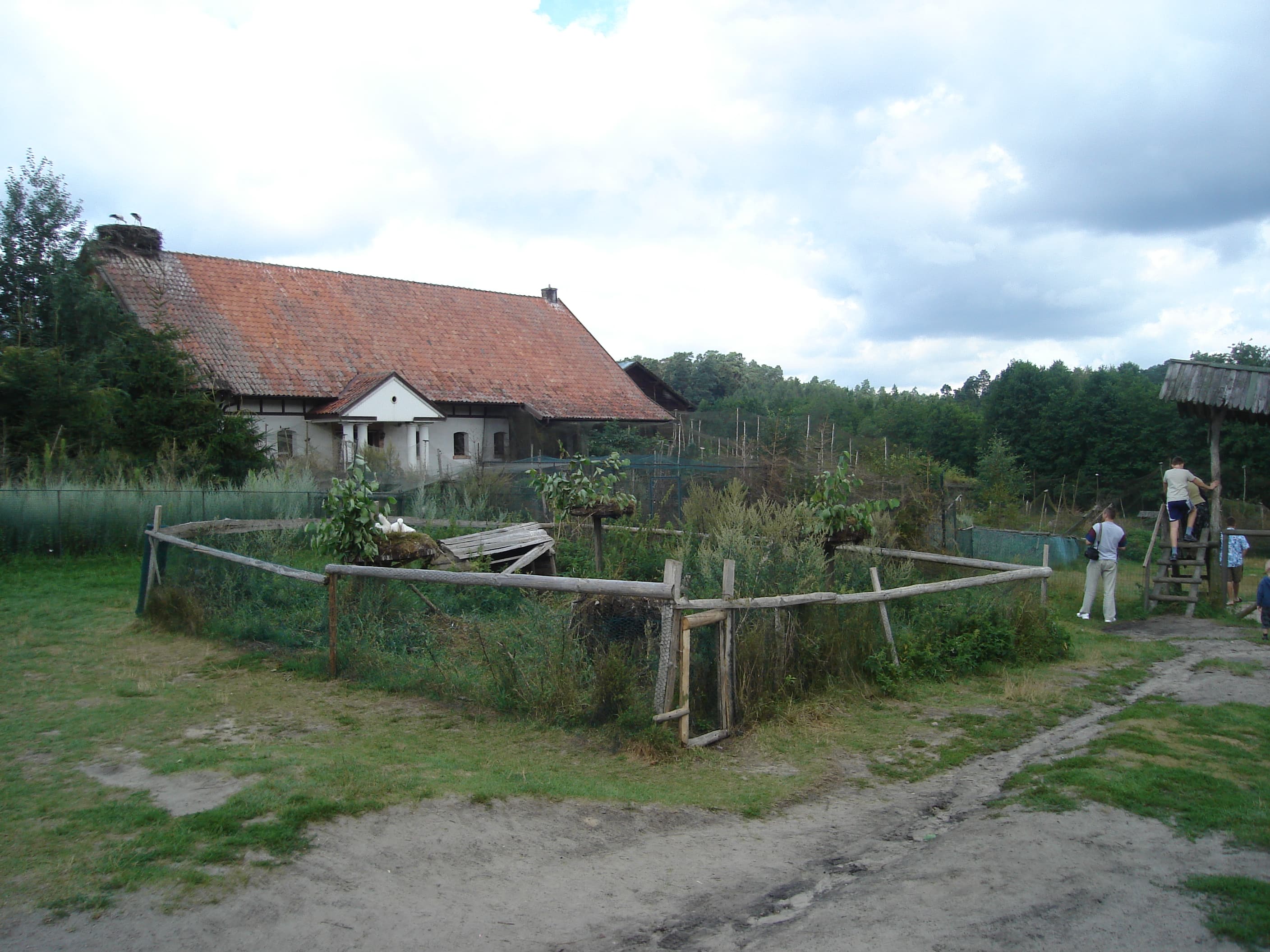 Kadzidłowo Zoo