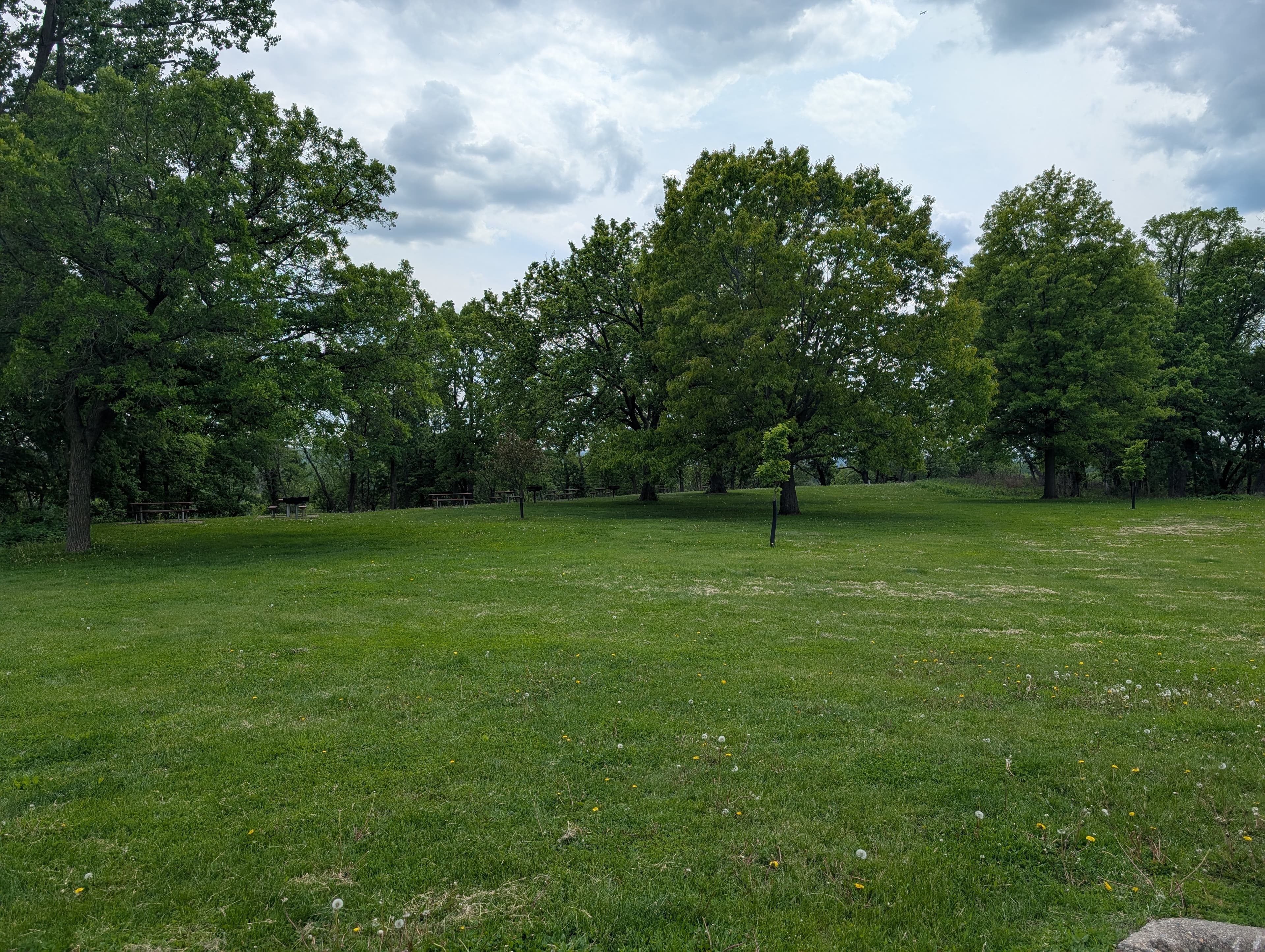 Parkers Picnic Grounds