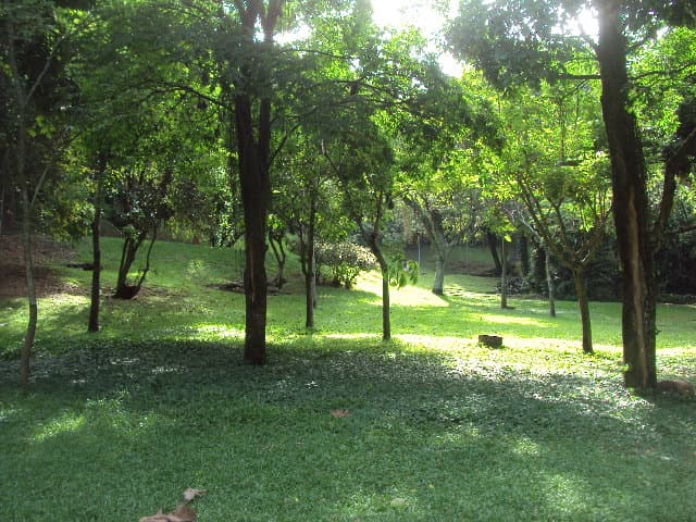 Parque Guinle