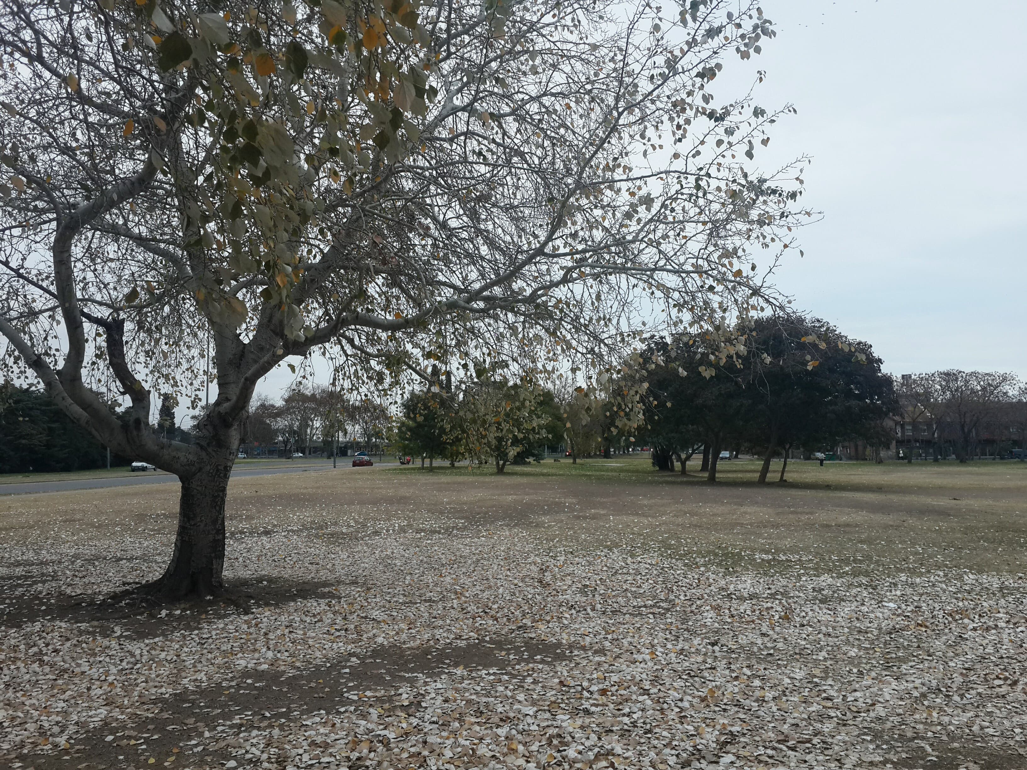 Parque Scalabrini Ortiz