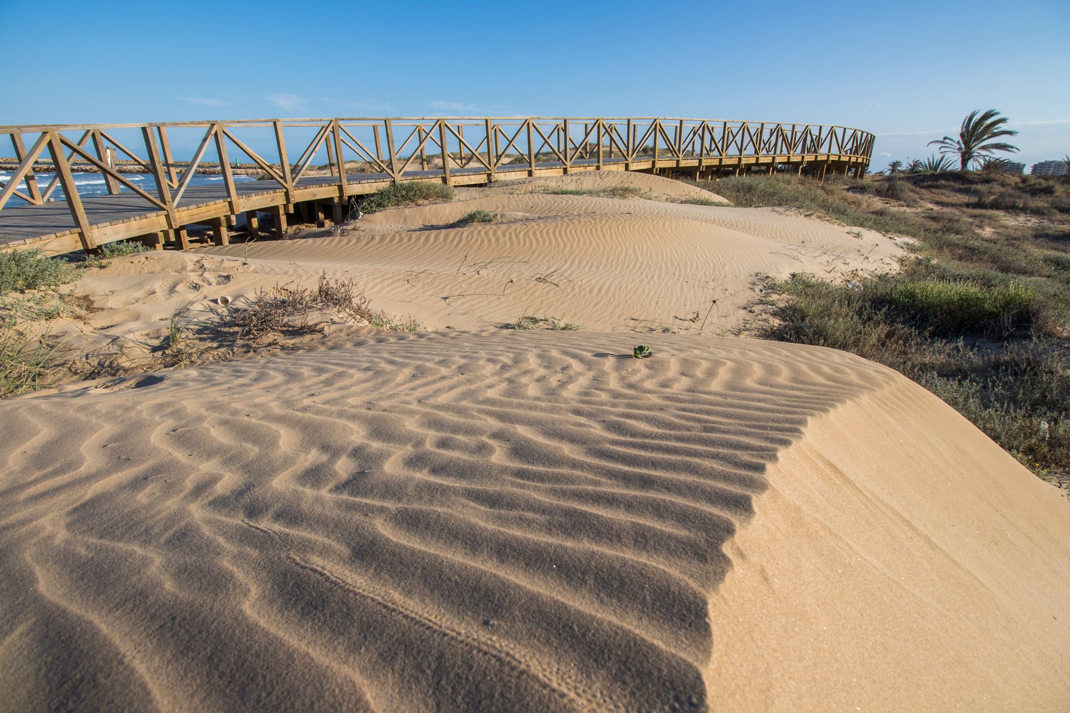 Province of Alicante