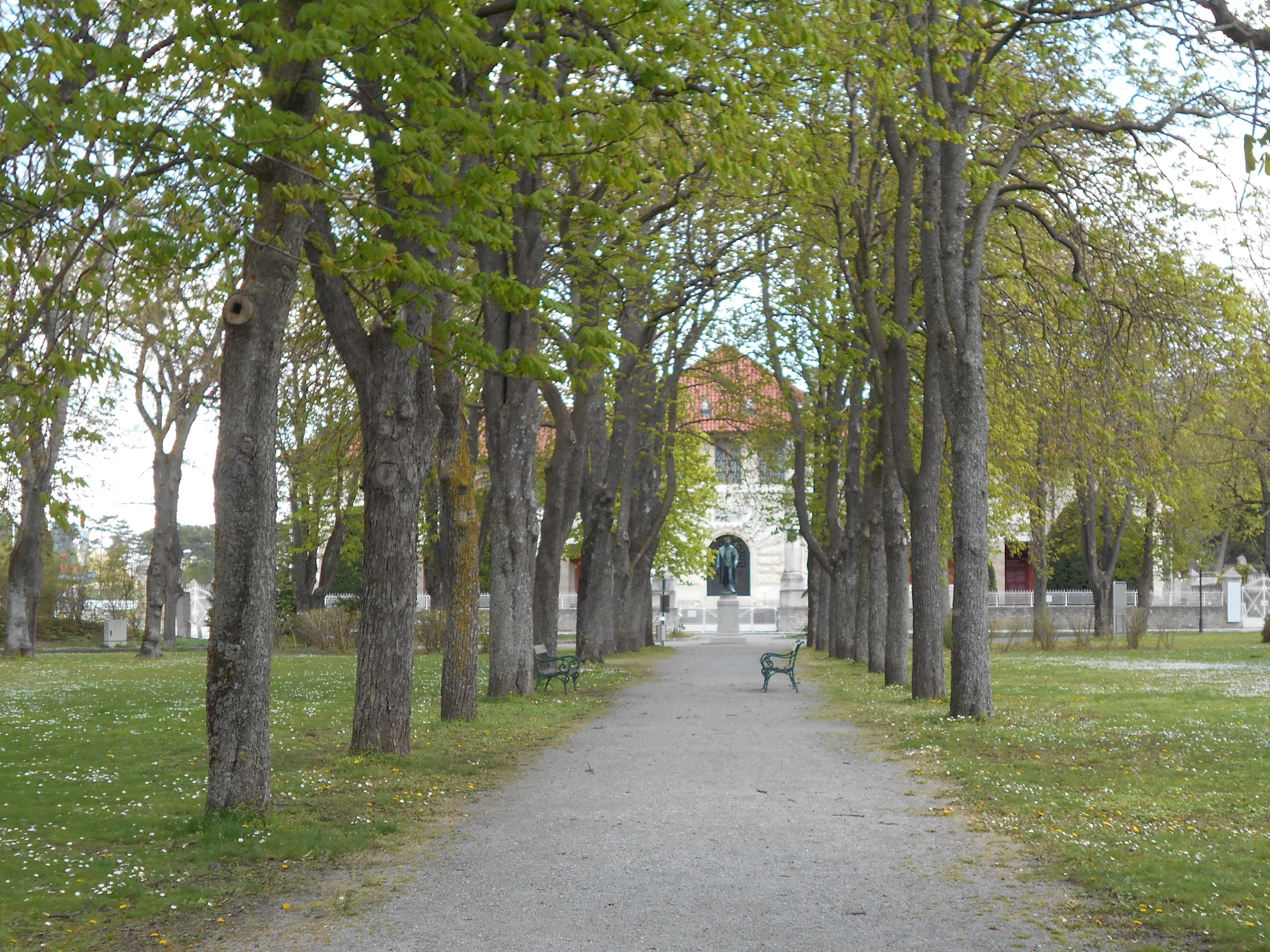 Kurpark Bad Deutsch Altenburg