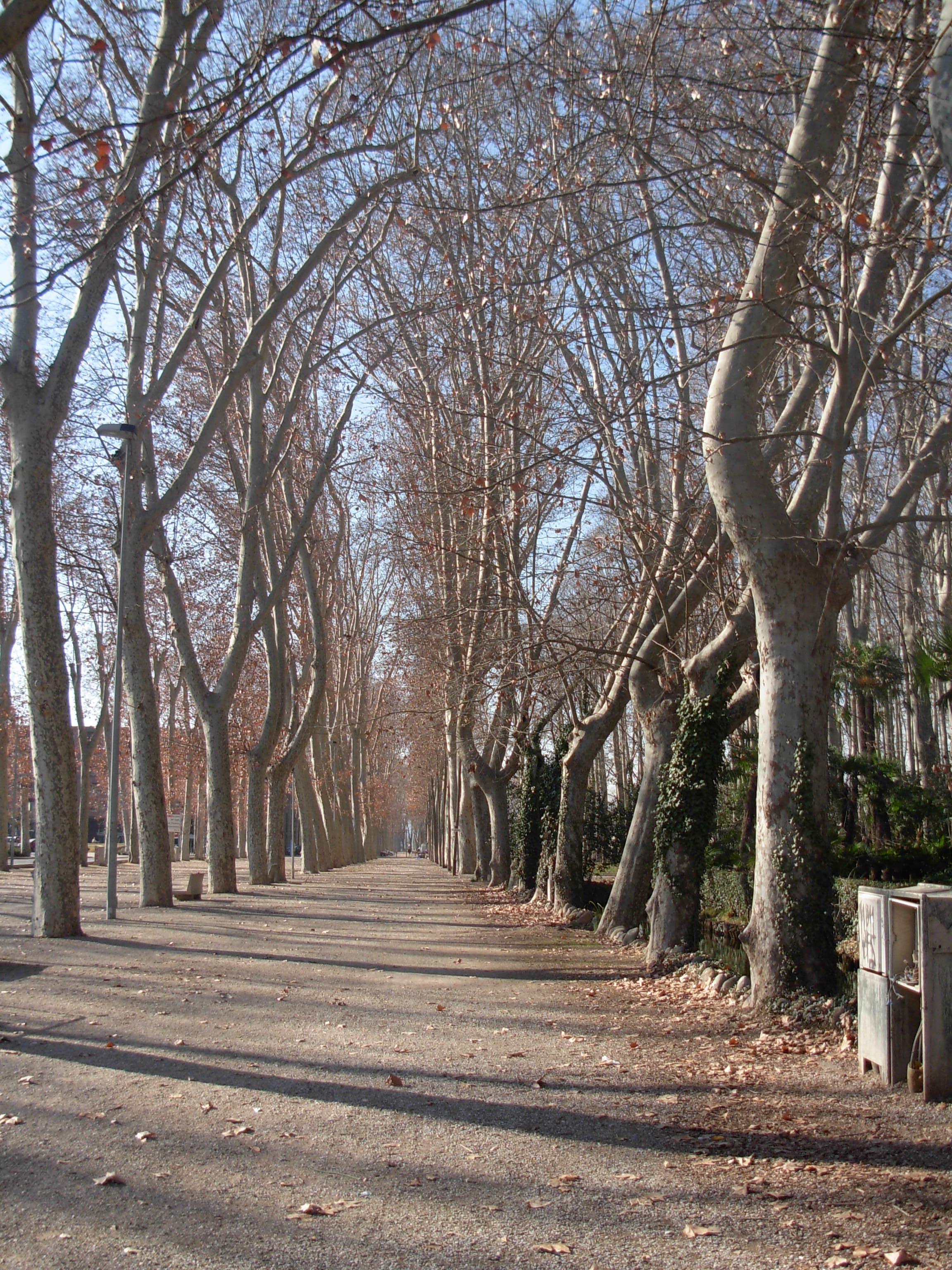 Parc de la Devesa