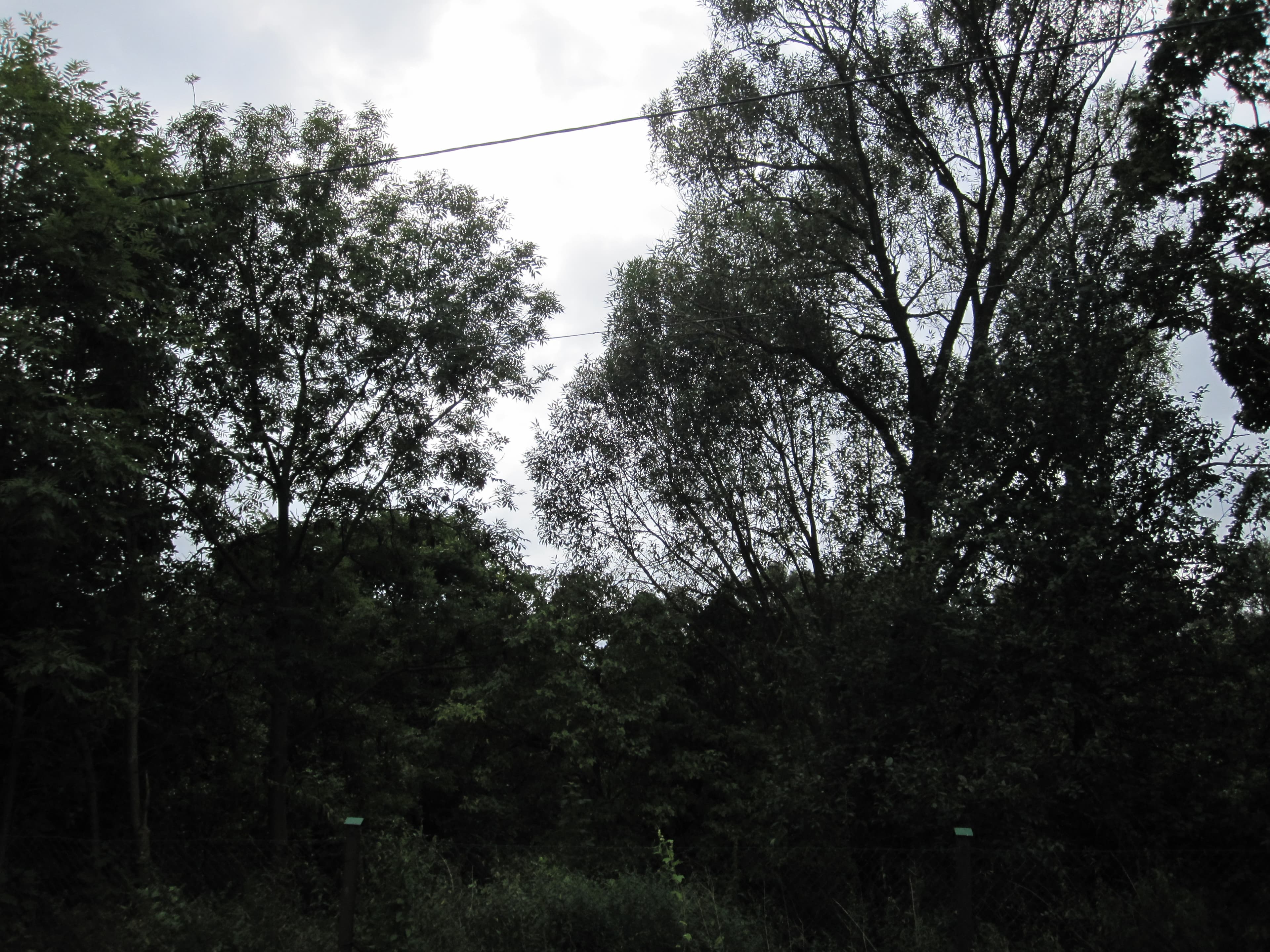 Manor park in Platyny