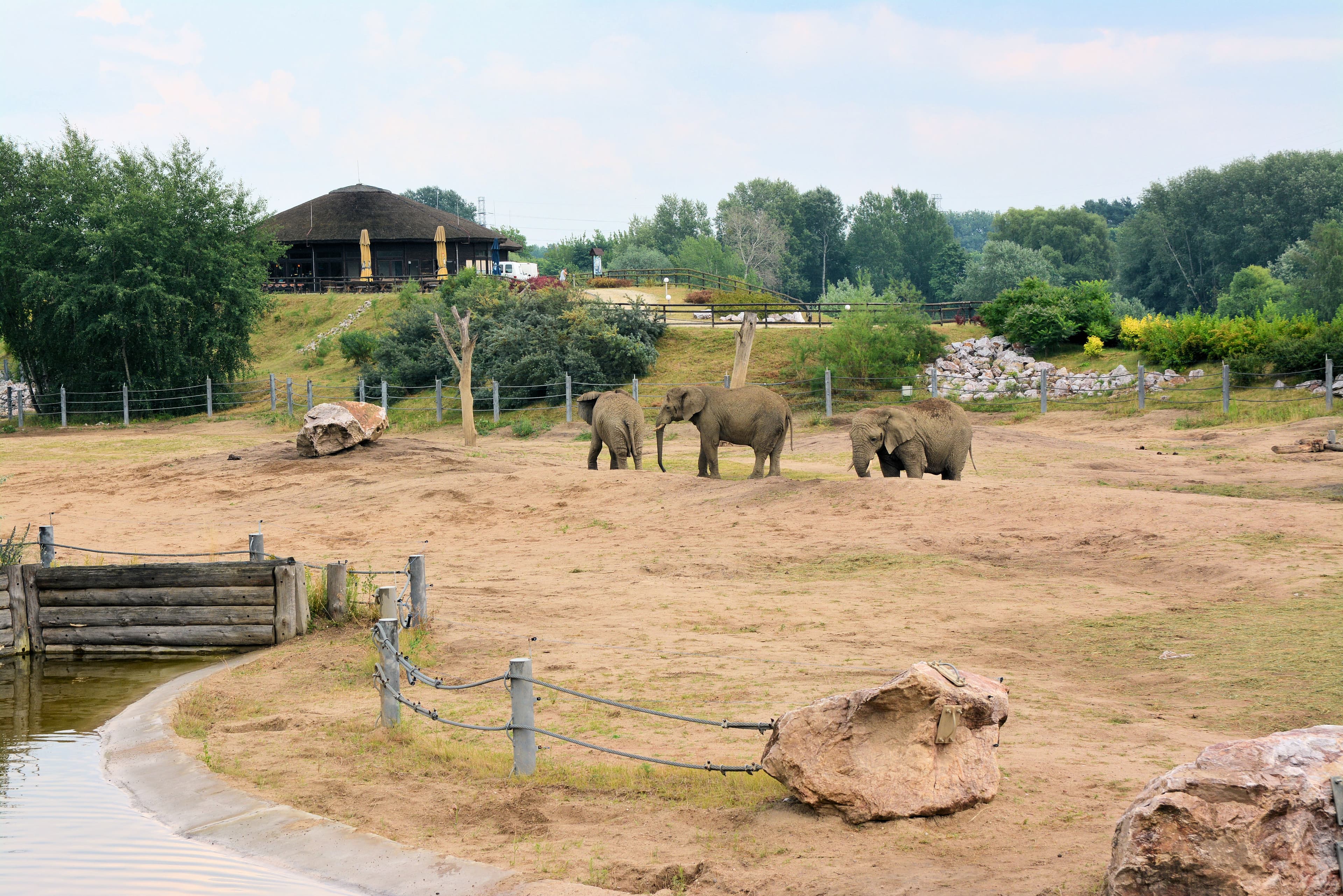Poznań Nowe Zoo