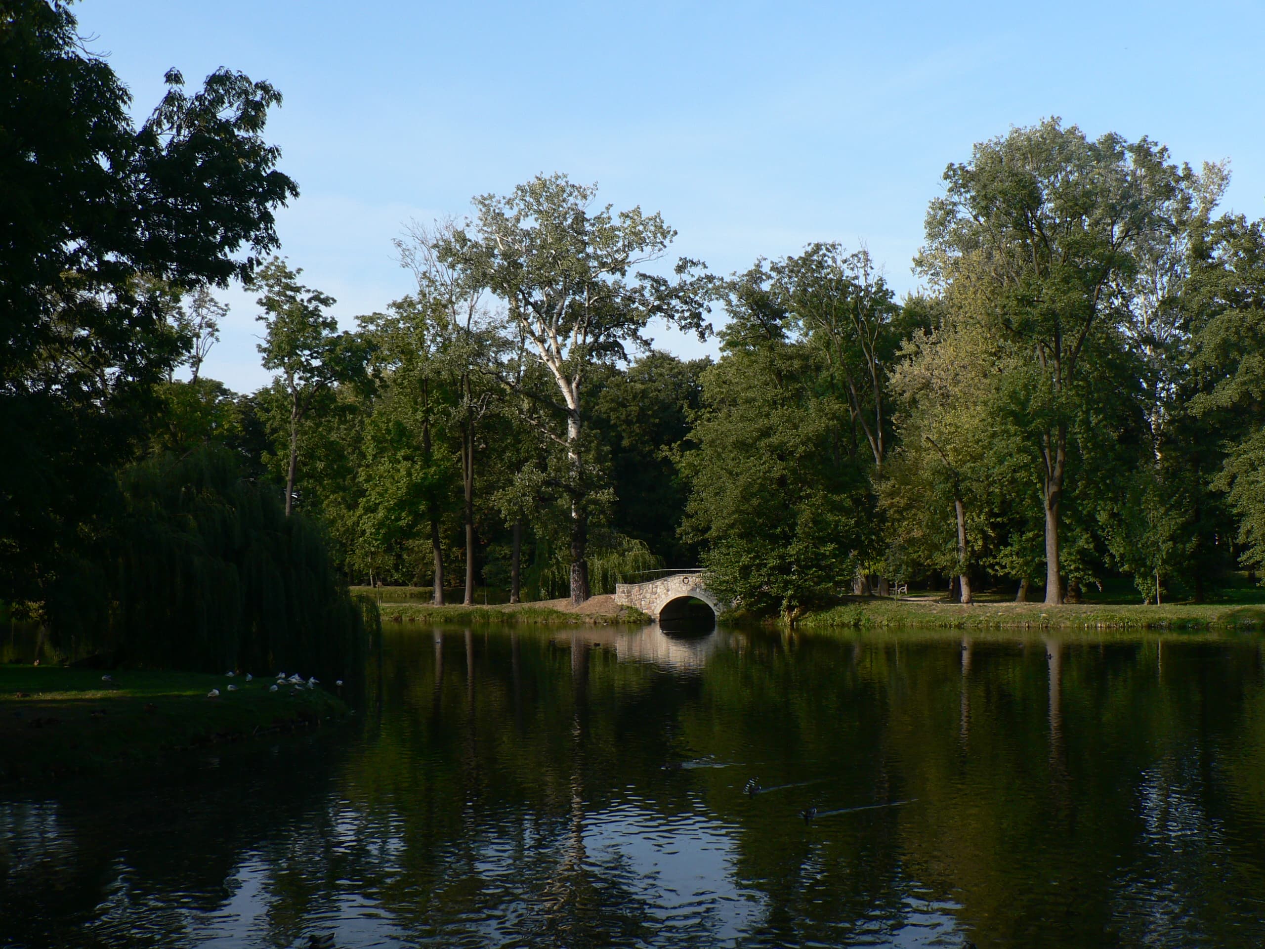 Potulicki Park in Pruszków