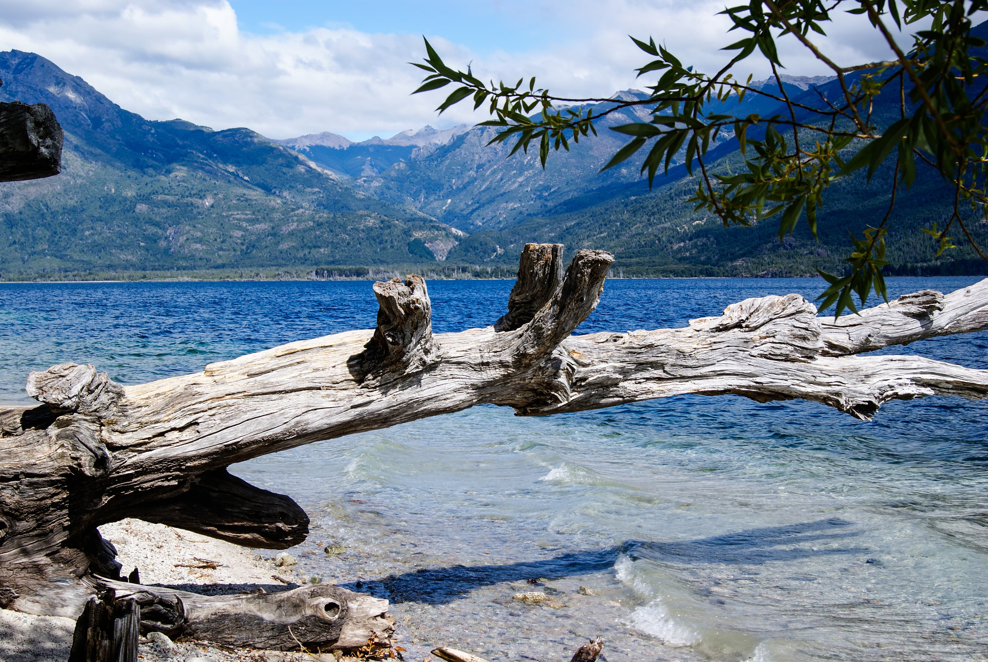 Reserva forestal Lago Epuyén