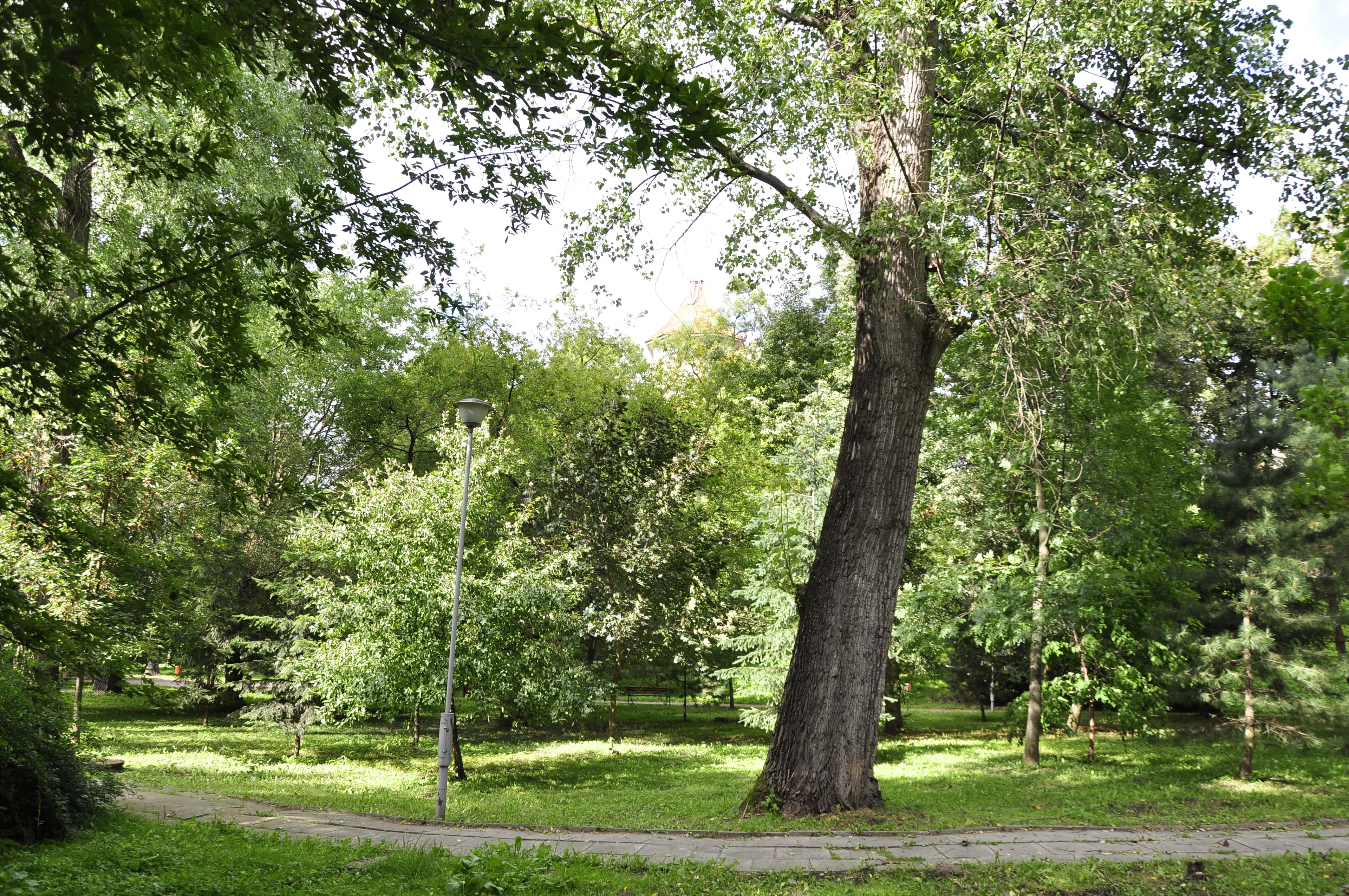 Pułtusk Castle Park