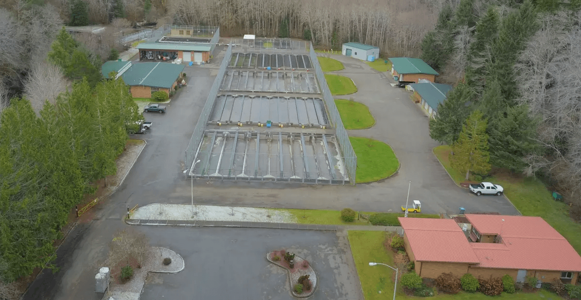 Quinault National Fish Hatchery