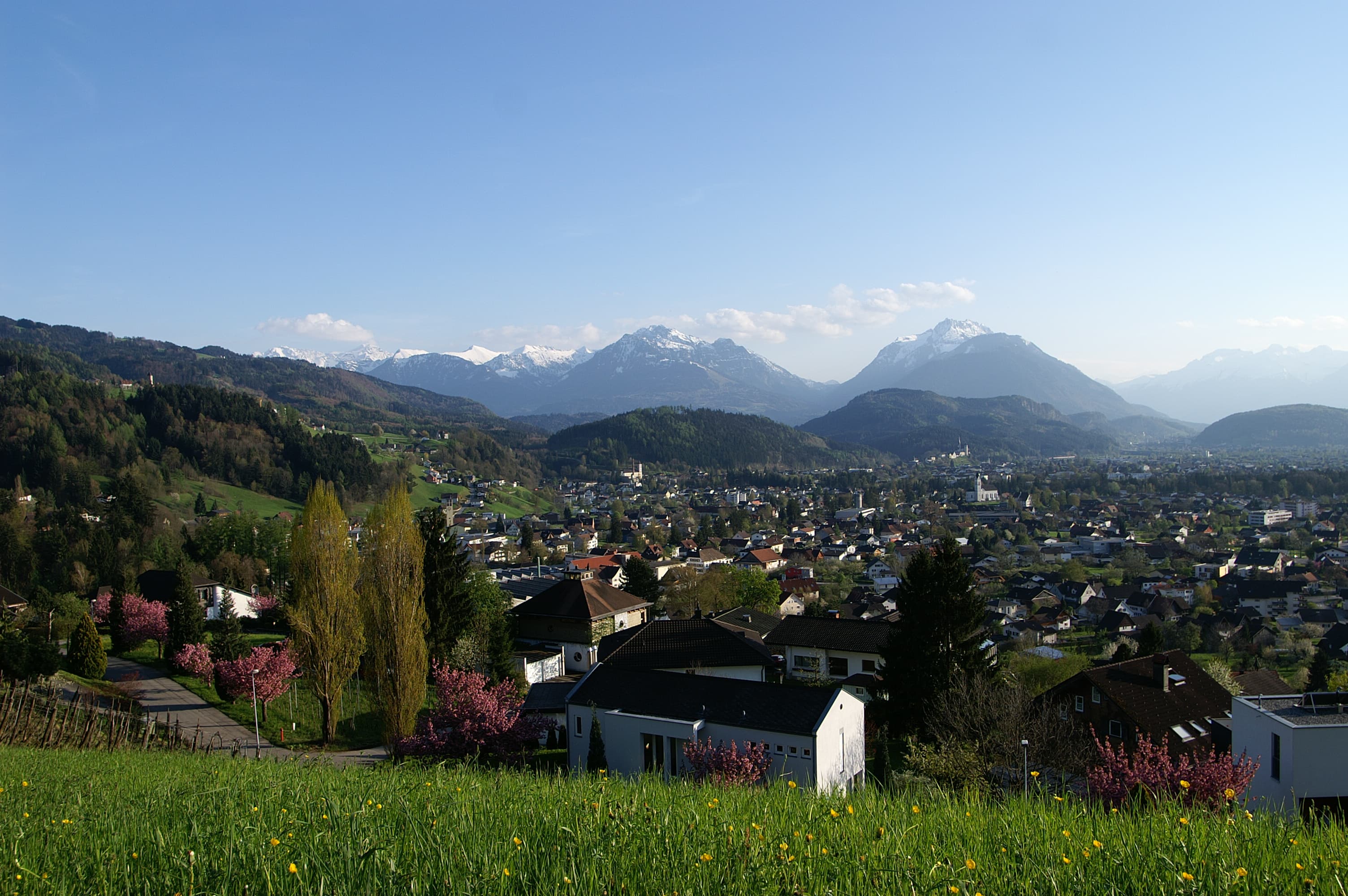 Feldkirch District