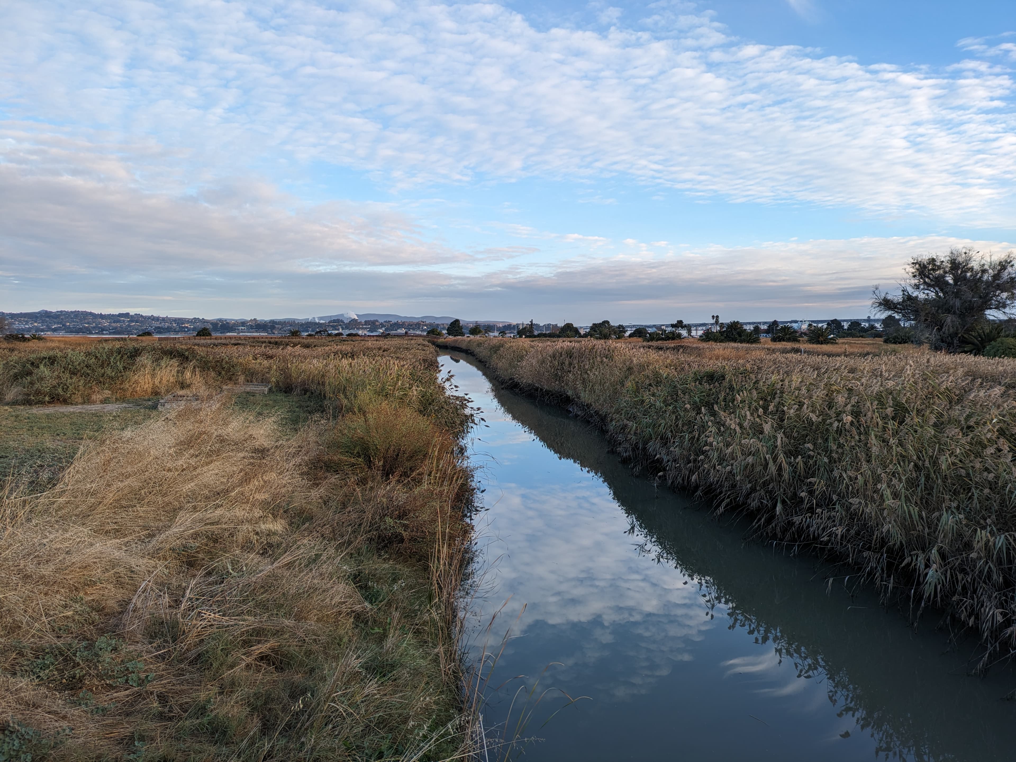 Radke Martinez Regional Shoreline