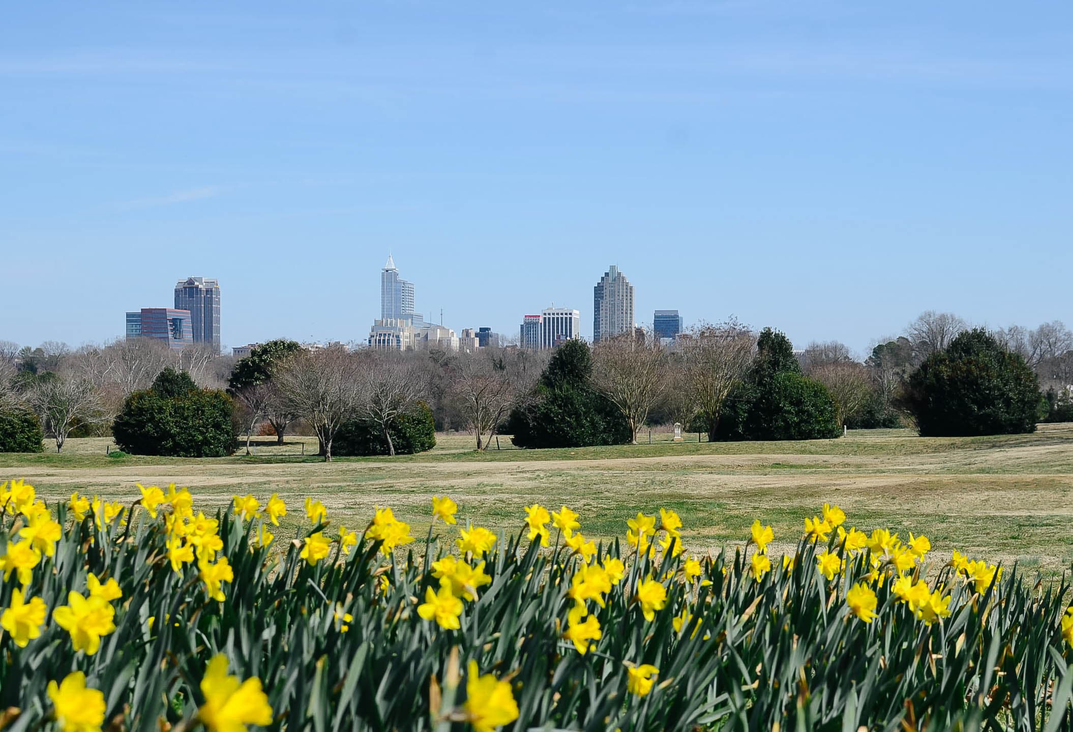 Dix Park