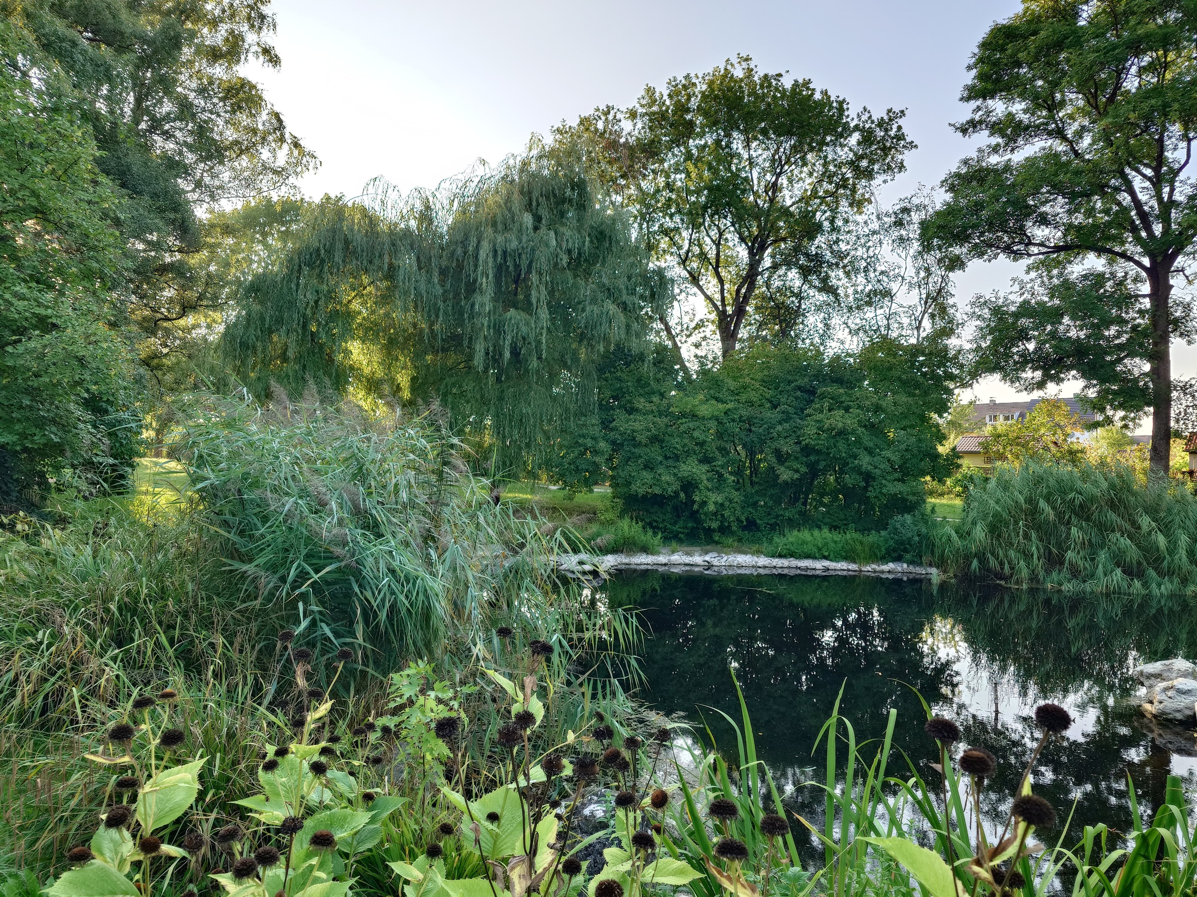 Charlotte-Brandis-Park