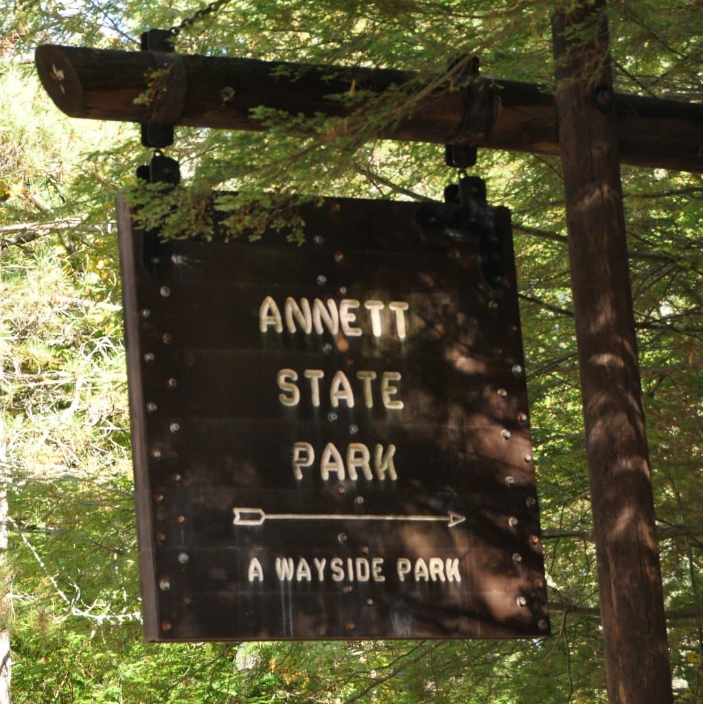 Annett State Forest