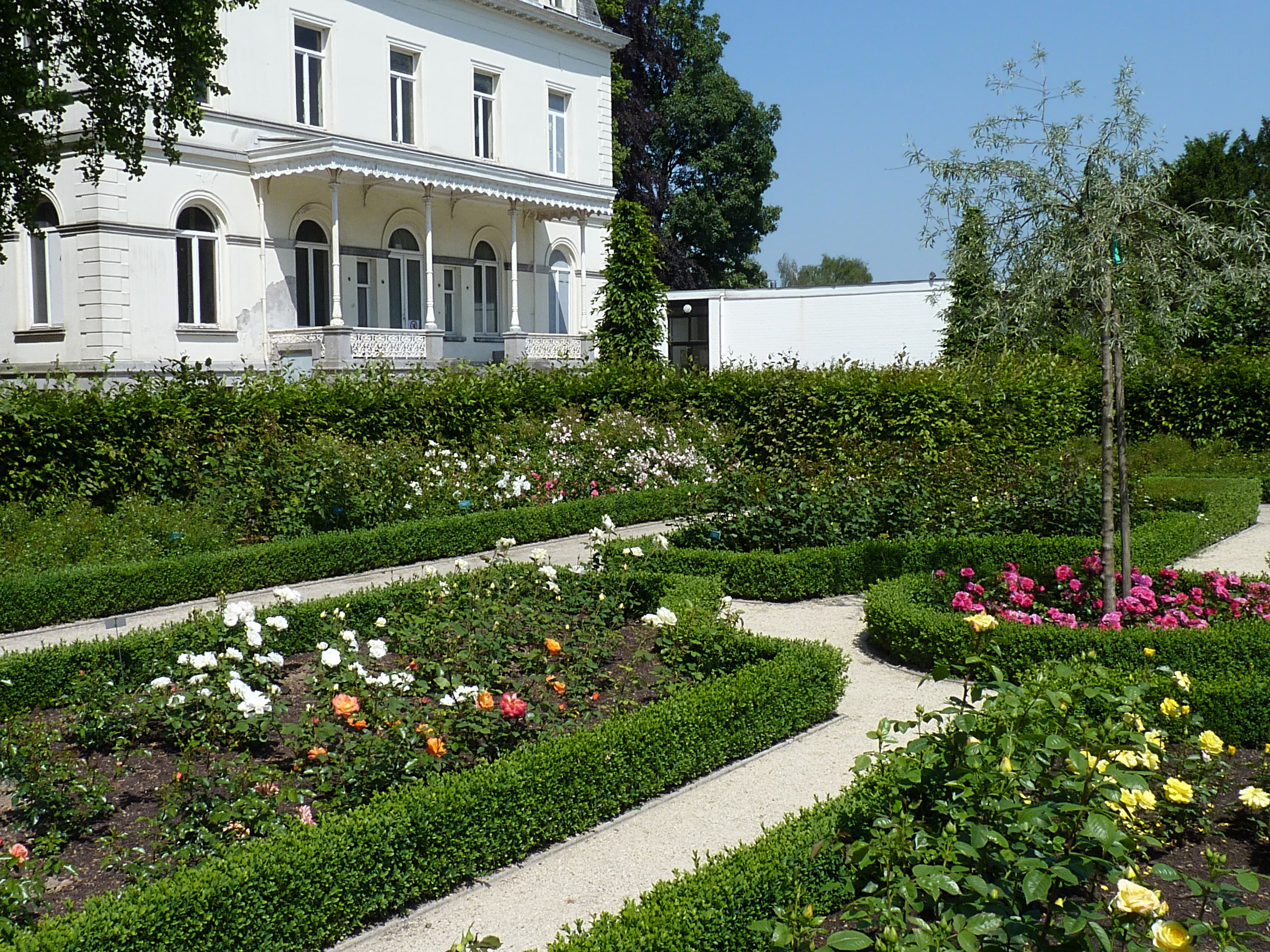 International rose garden, Kortrijk