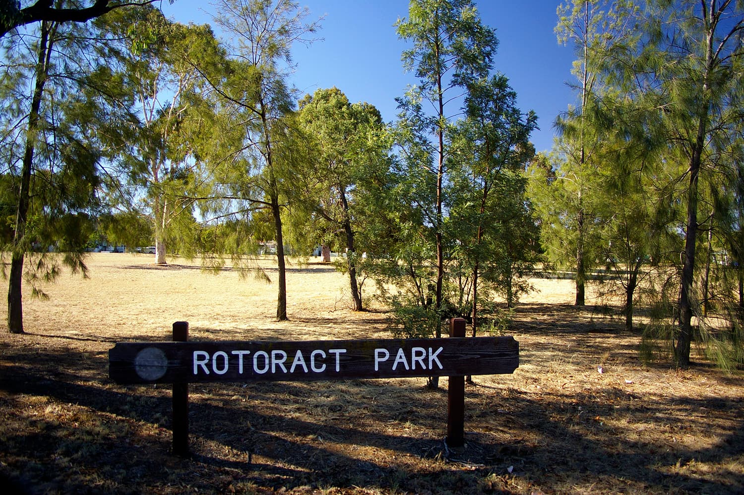 Rotoract Park