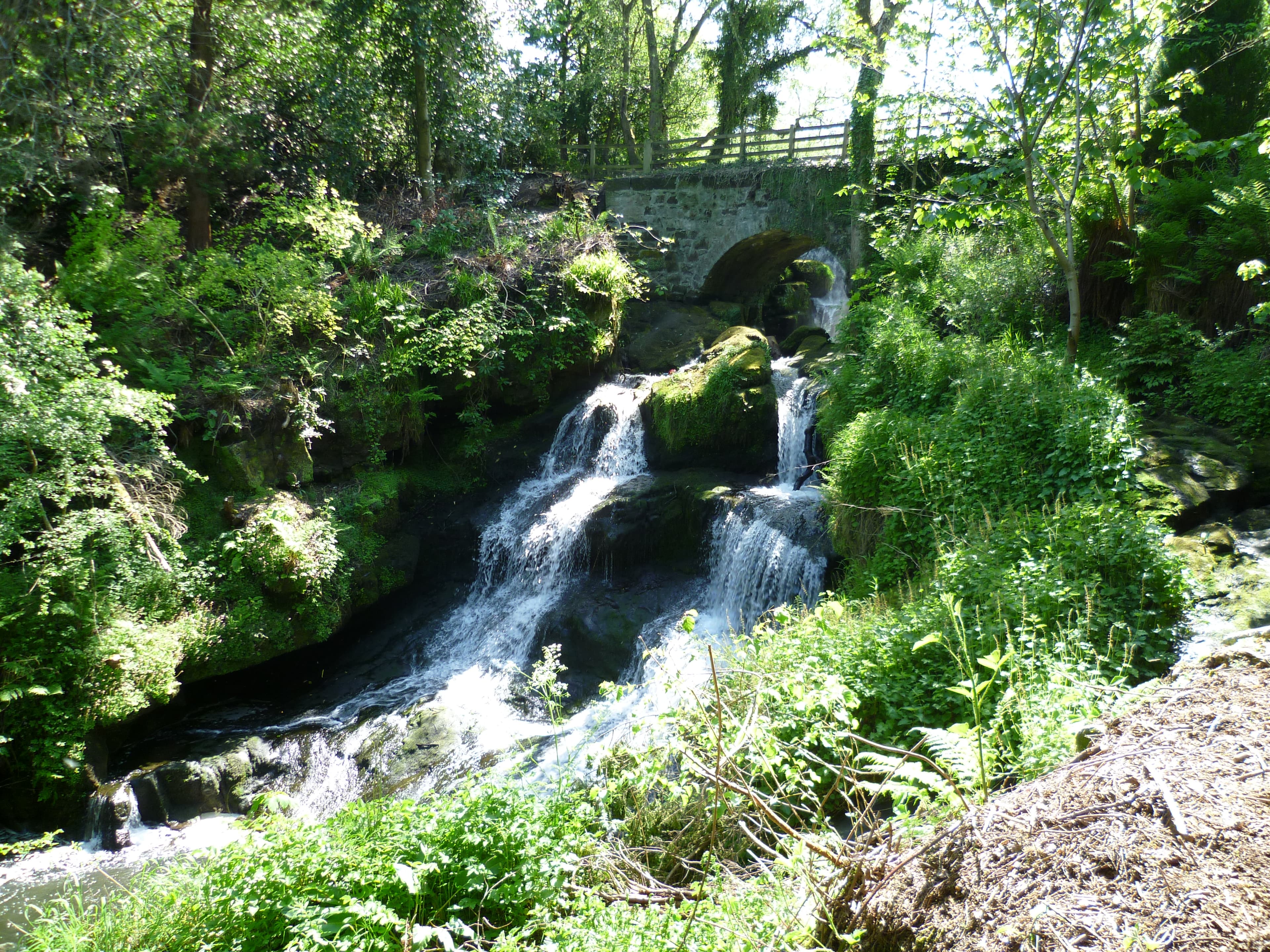 Rouken Glen