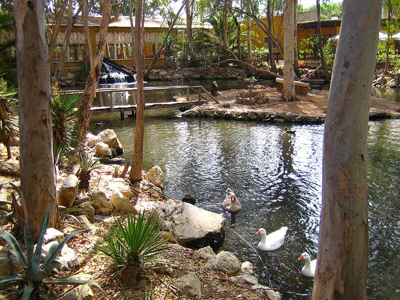 Safari Park Costablanca